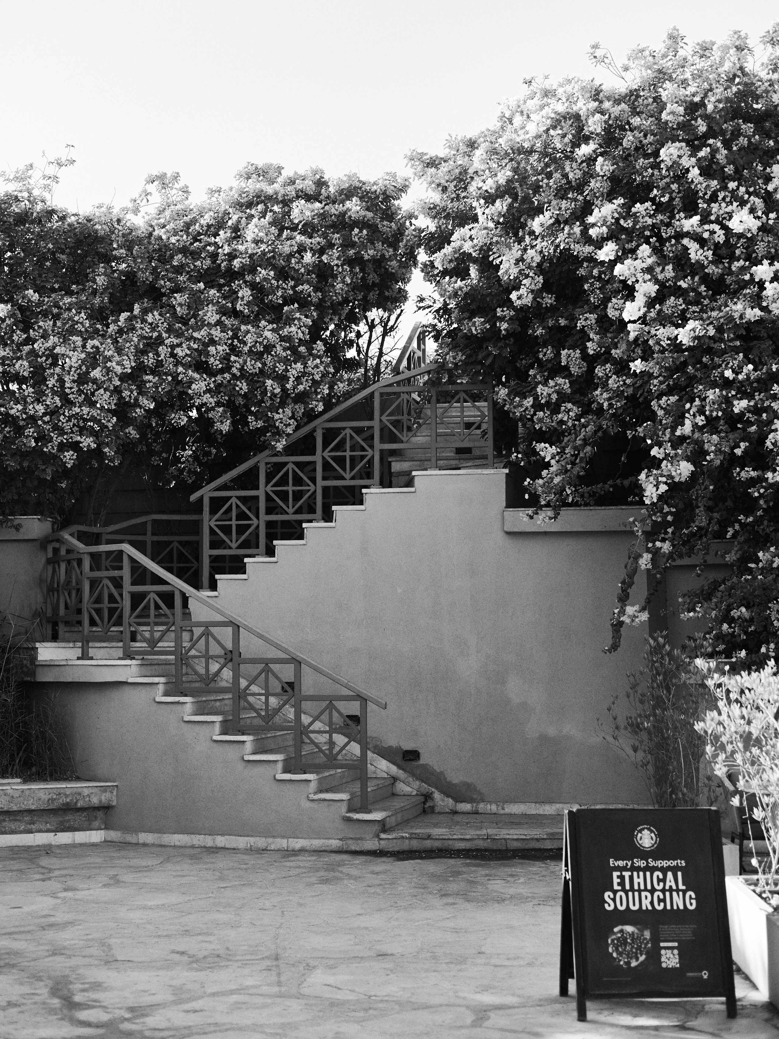 Другое 3. Jorgis — фотограф в Хургаде / обучение фотографии