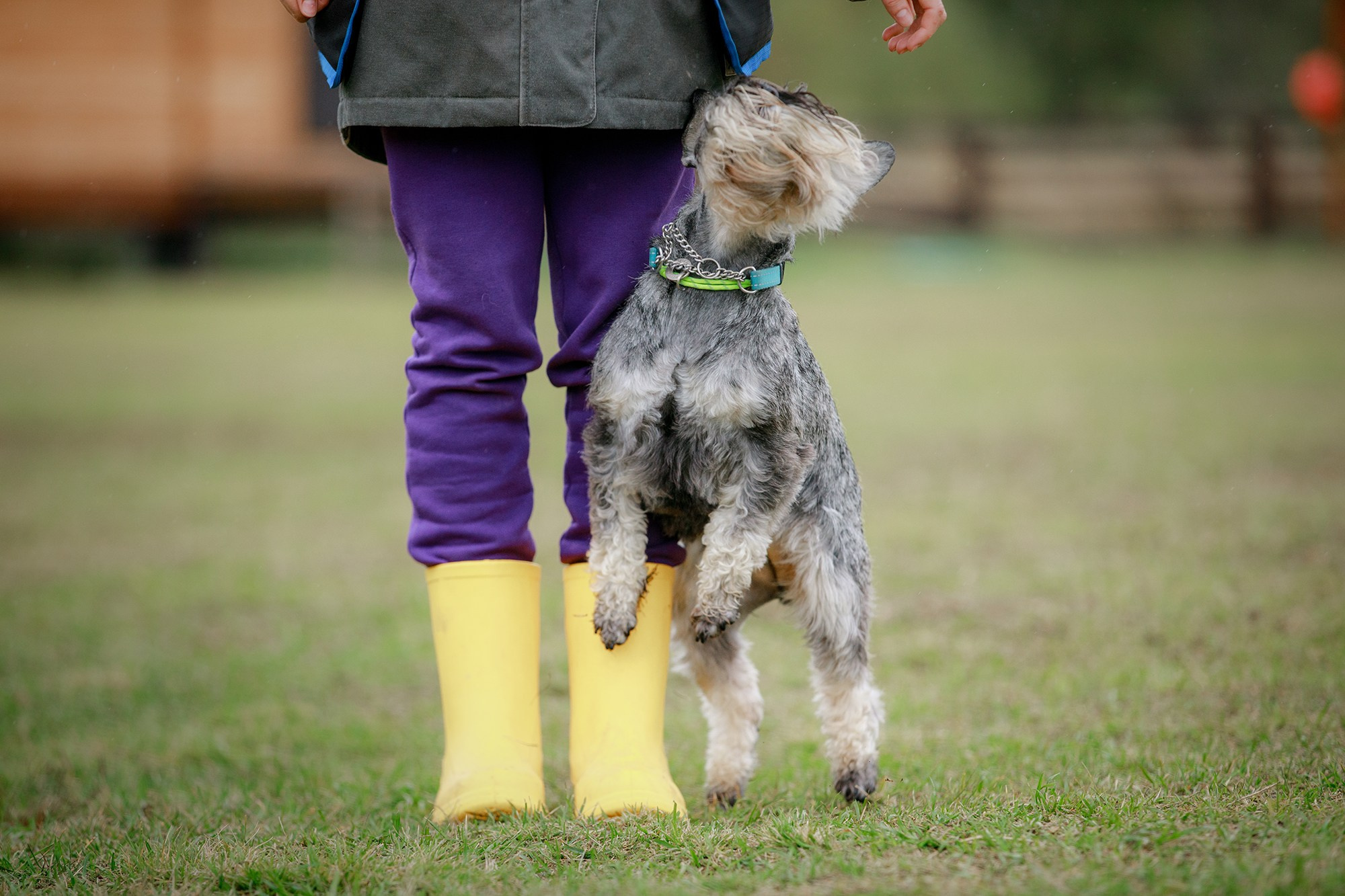 Лагерь по ОБД с Инной Баженовой. Фотограф-анималист Mary Mart — Москва, Питер