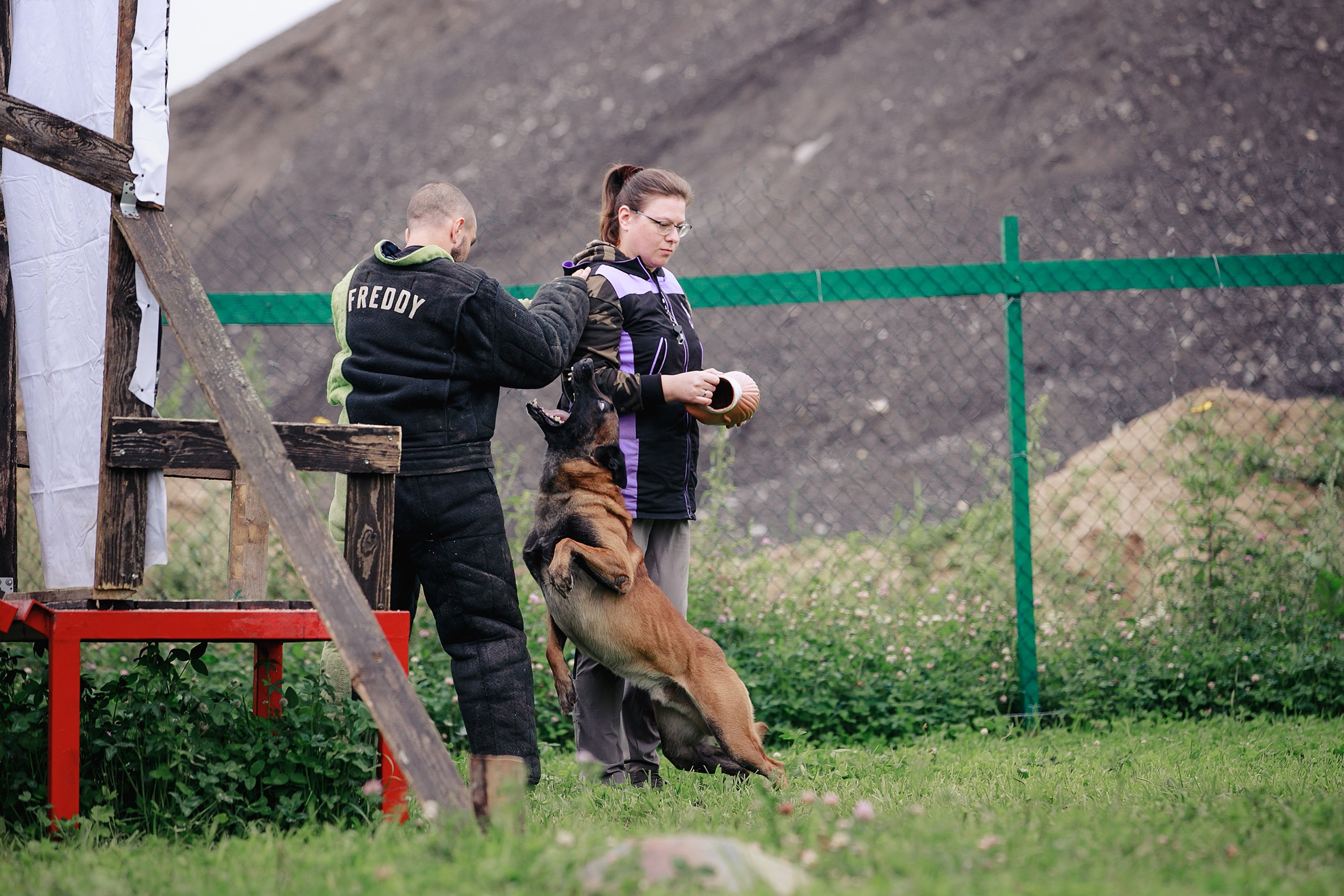 Мондьоринг М1, М2, М3, Вологда. Фотограф-анималист Mary Mart — Москва, Питер