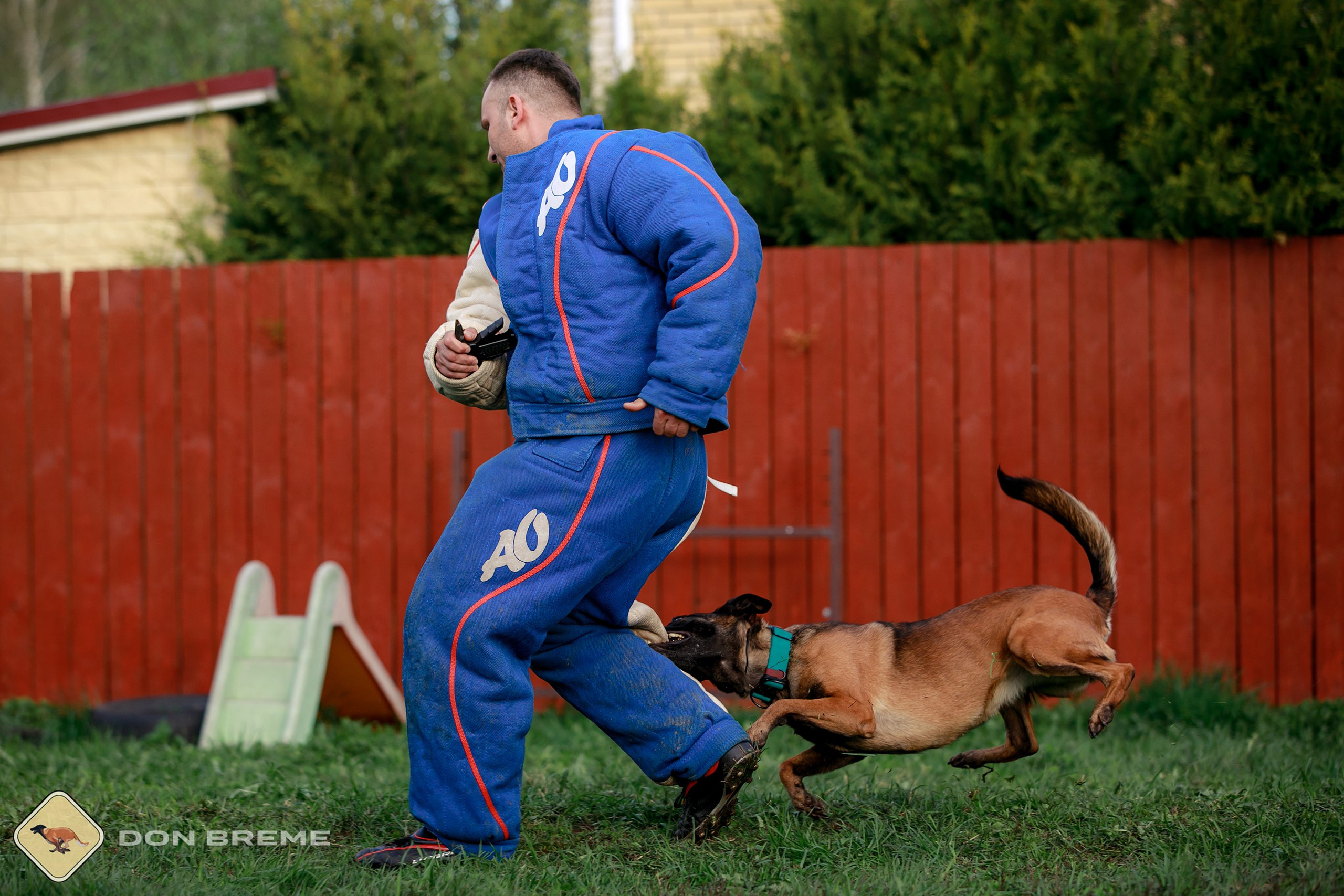 Семинар для фигурантов, день 2. Фотограф-анималист Mary Mart — Москва, Питер