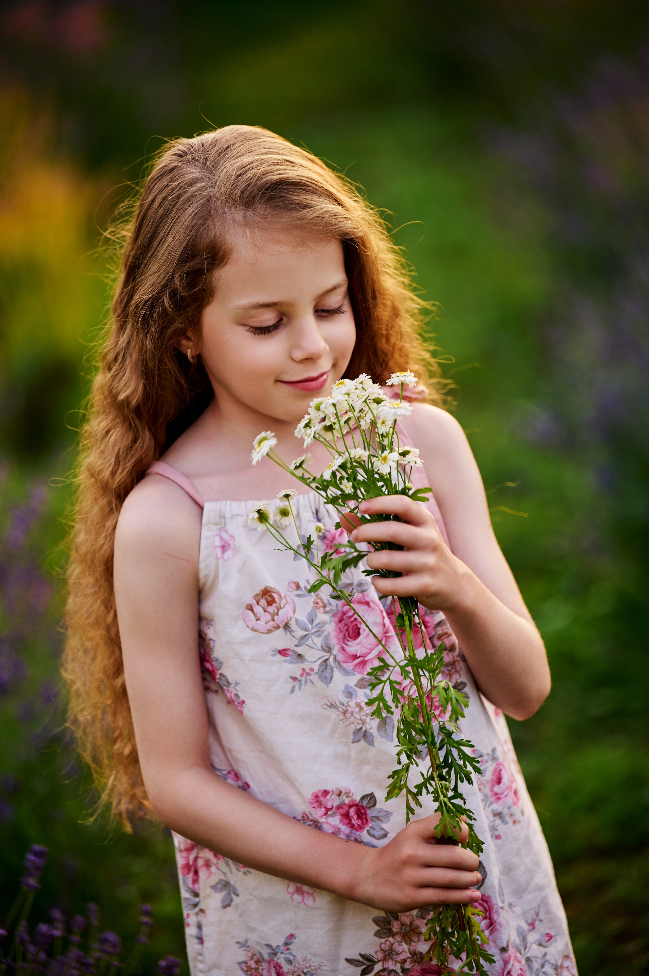 Лаванда на закате. Свадебный, семейный фотограф в Краснодаре