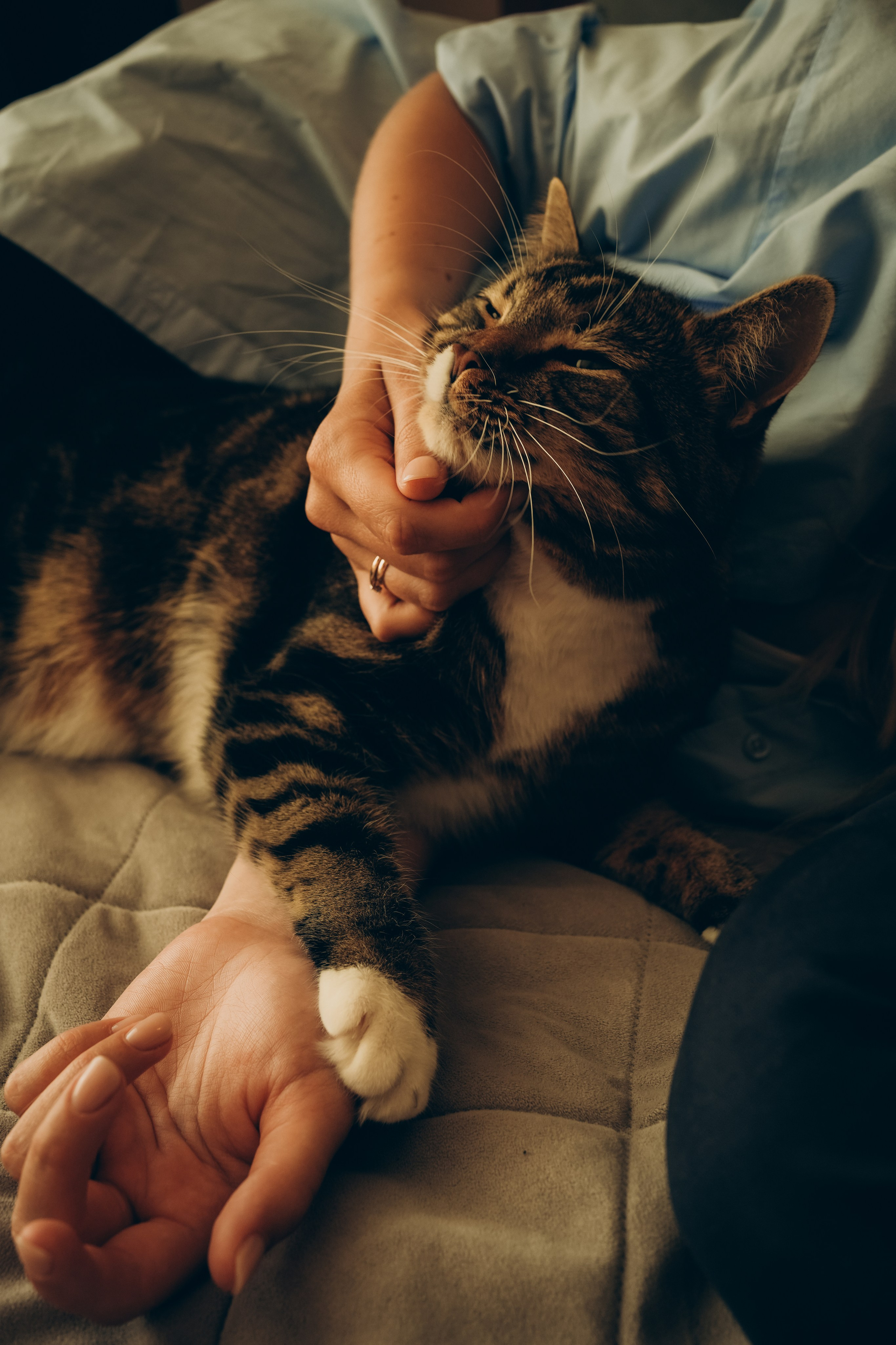 Женя, Таня и Арсюша. Семейный и детский фотограф Плесецк, Мирный Марина Забабурина