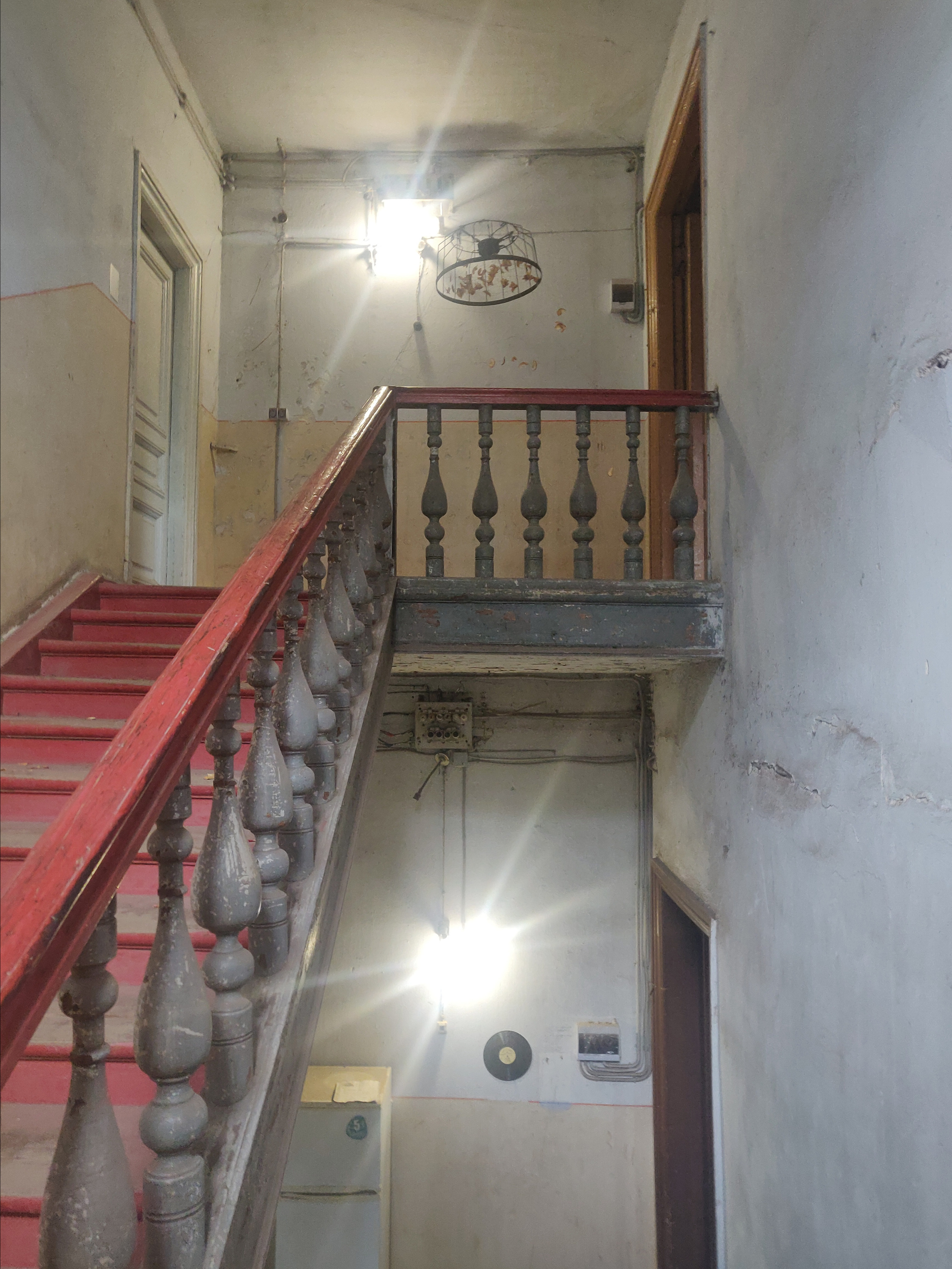 Паутина, паук и упоминание о яблоневом саде. Ekaterina Vasilyeva photographer