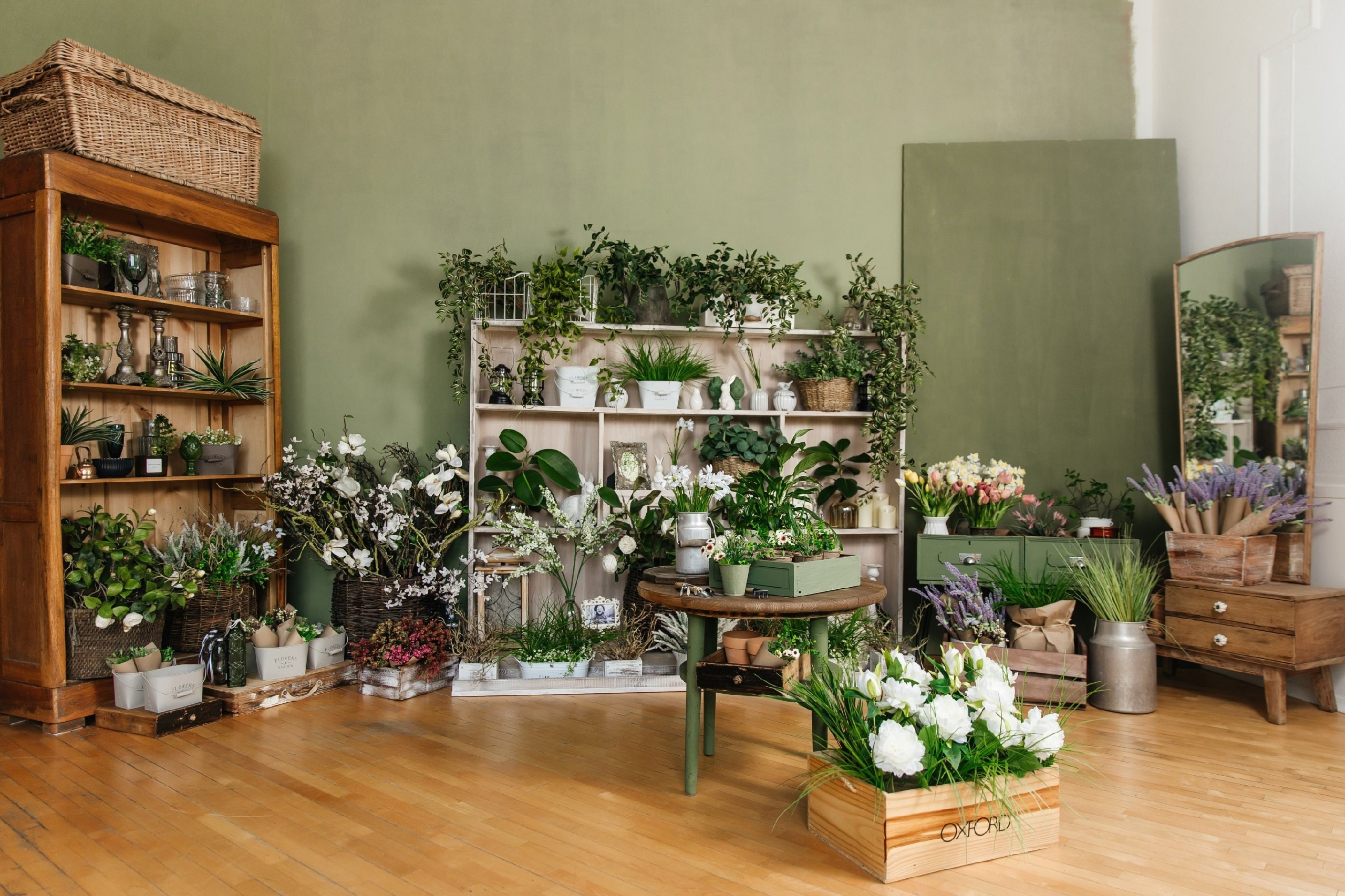 ФЕНИКС «зеленый». Фотограф новорожденных Тверь Диана Муляева