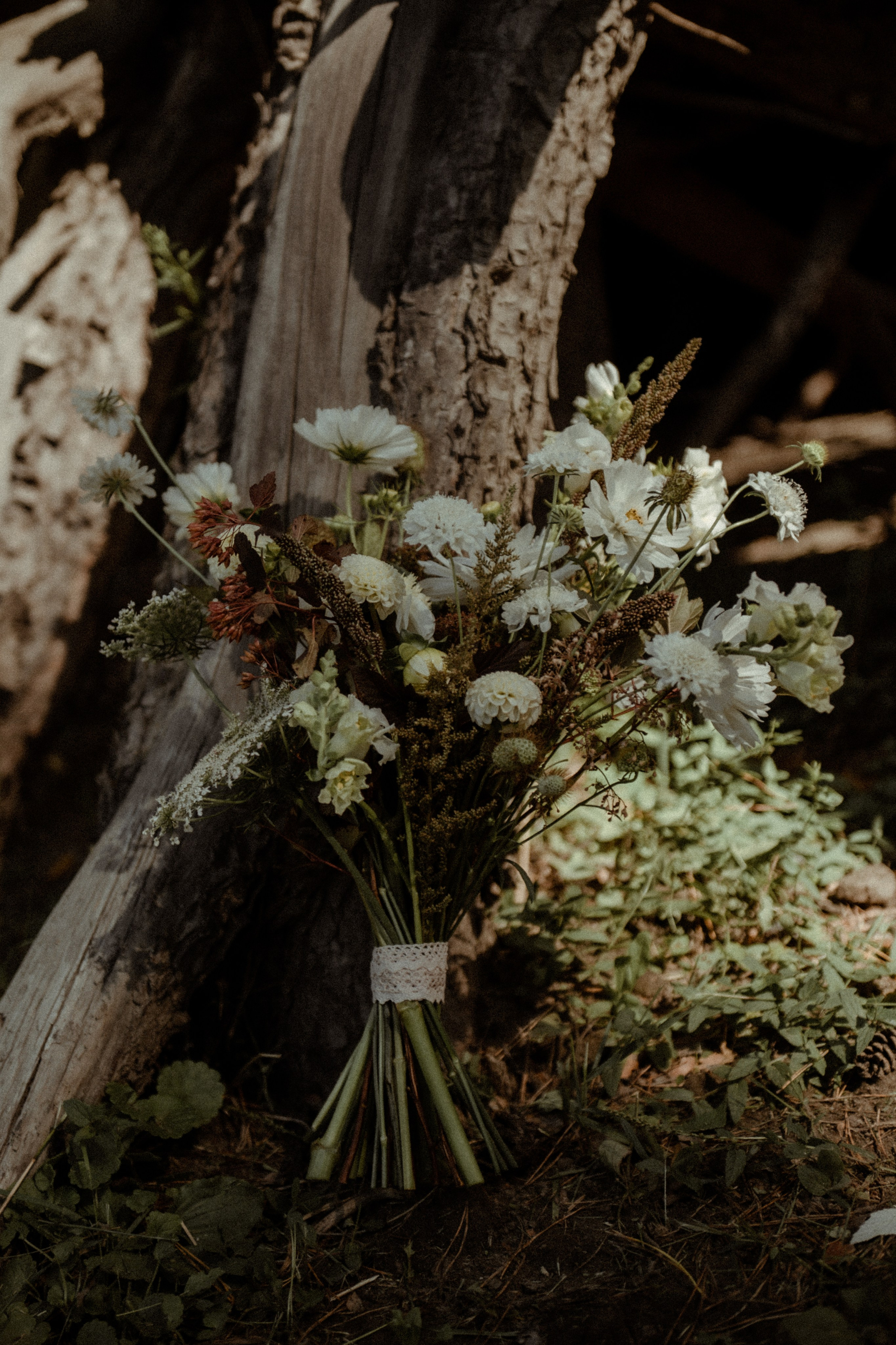 Свадебные фотографии. Фотограф в Барнауле Дарья Бутурлакина. Люби.Цени.Касайся
