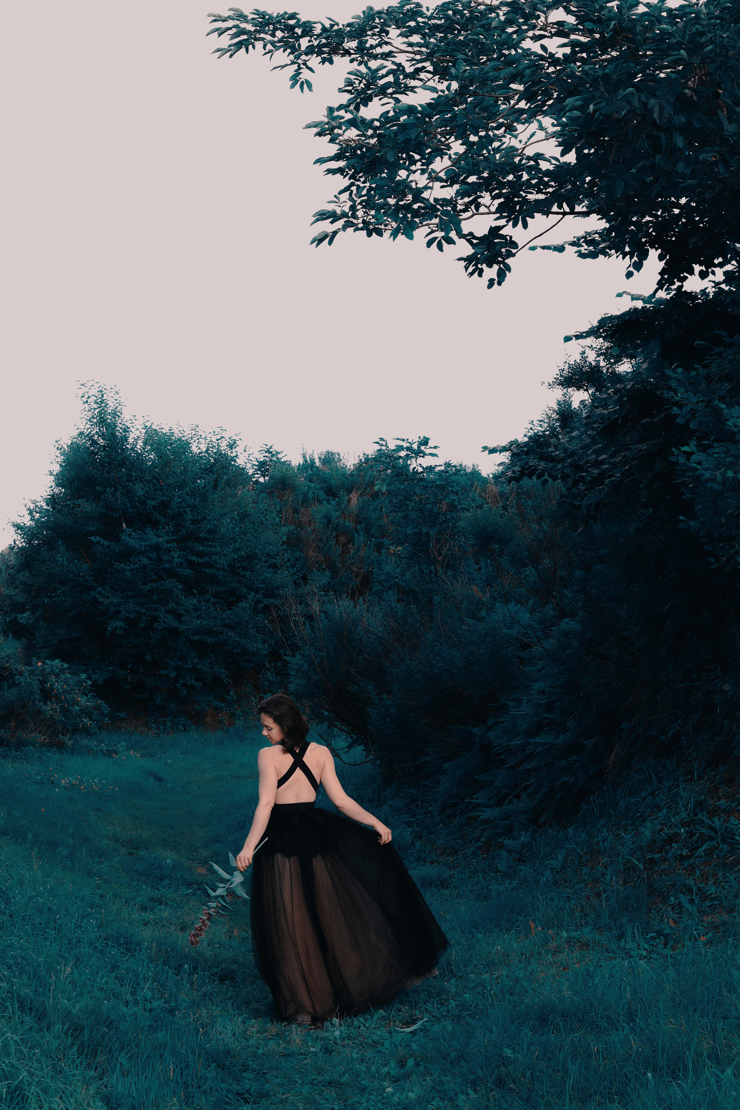 Алиса в стране чудес. 