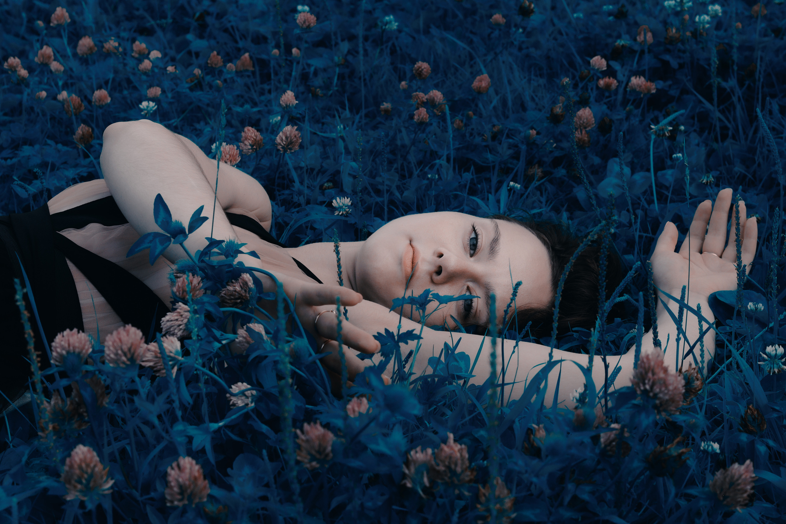 Алиса в стране чудес. 