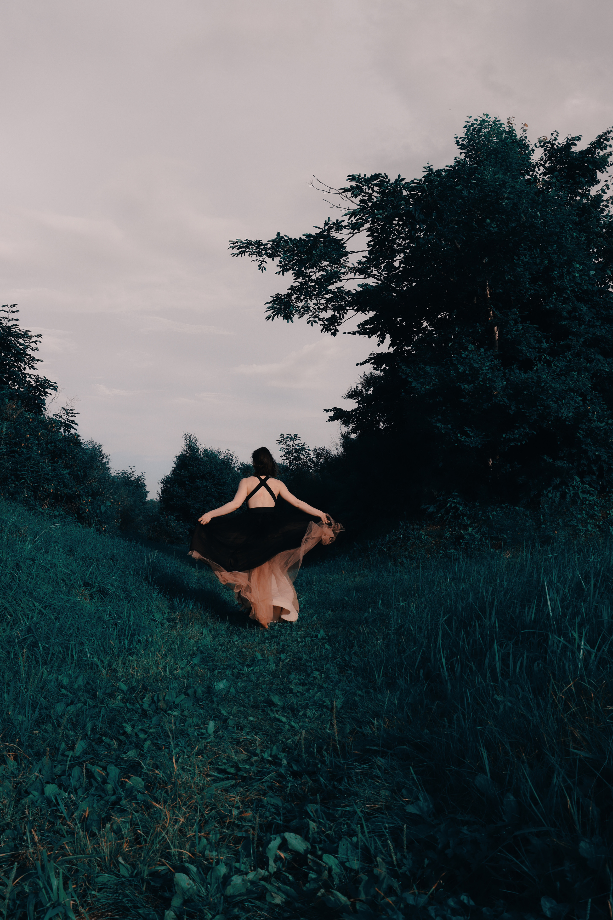 Алиса в стране чудес. 