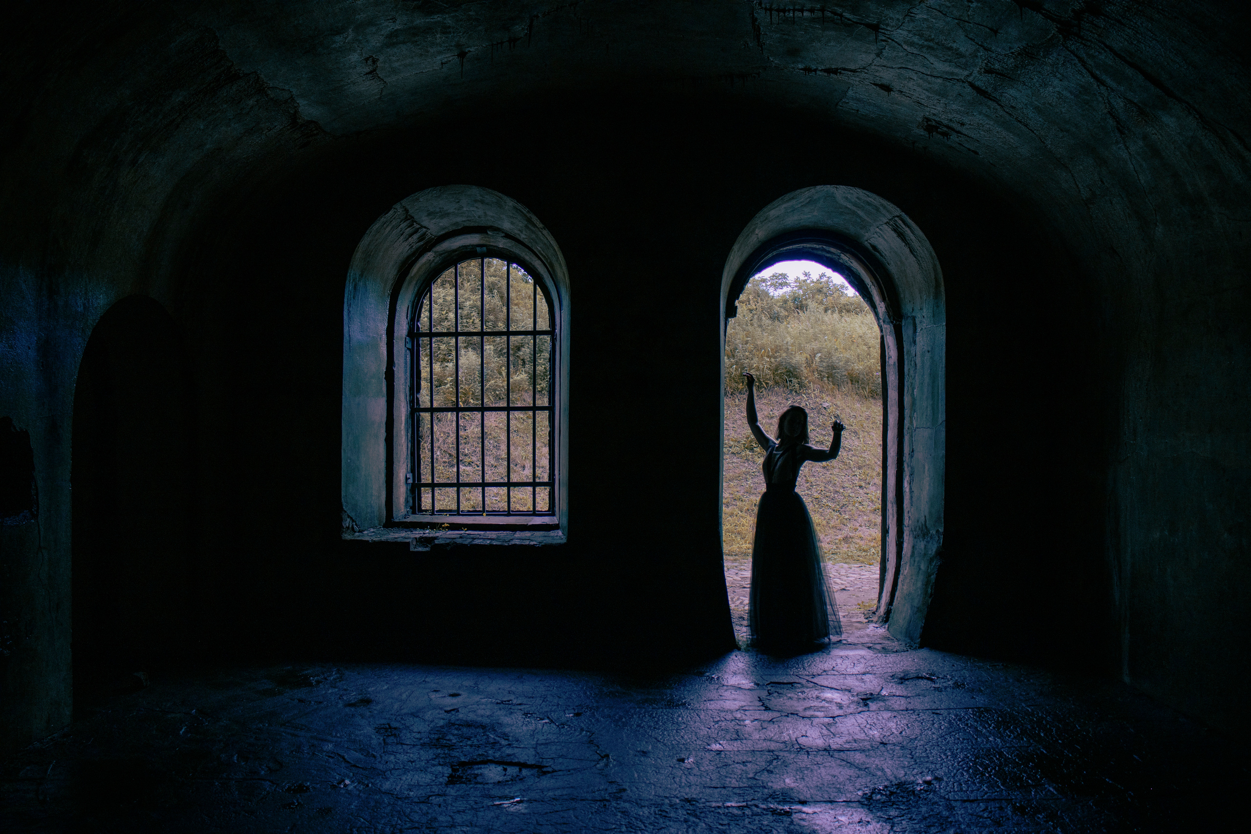 Алиса в стране чудес. 