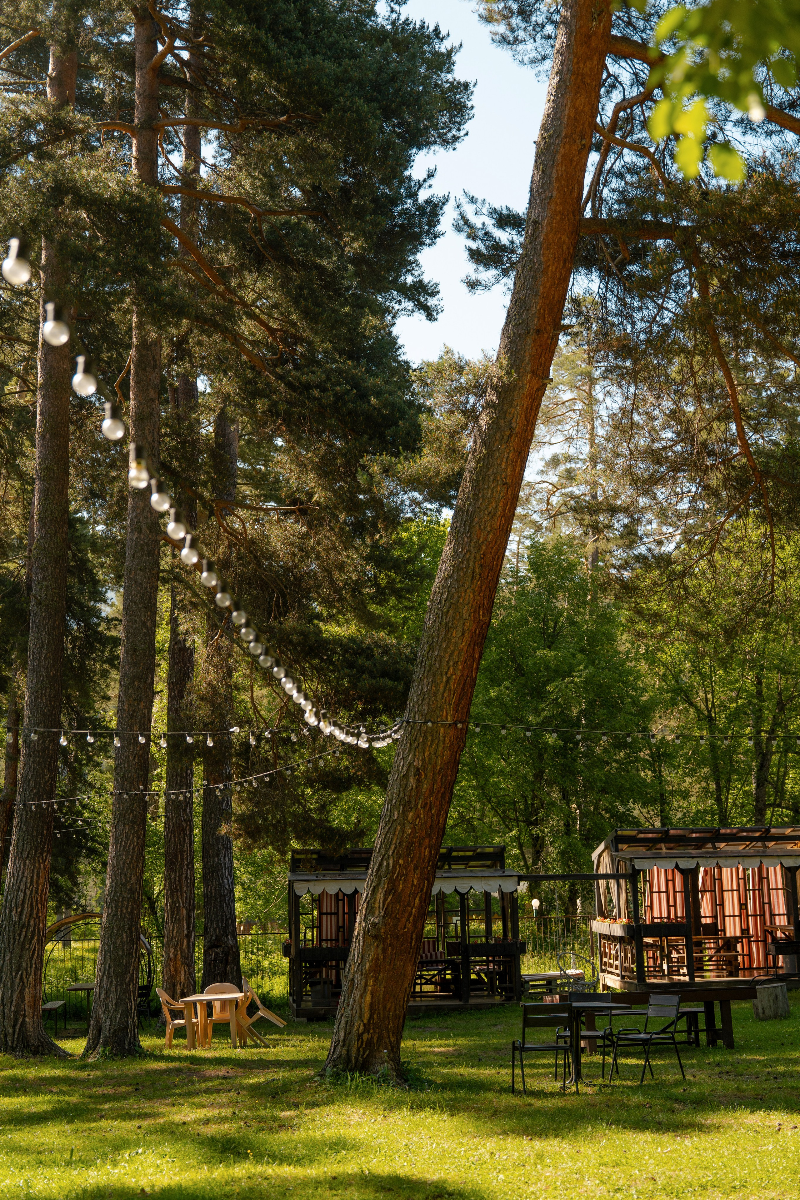 Green Park. Фотограф и видеограф Елена Хмелевская