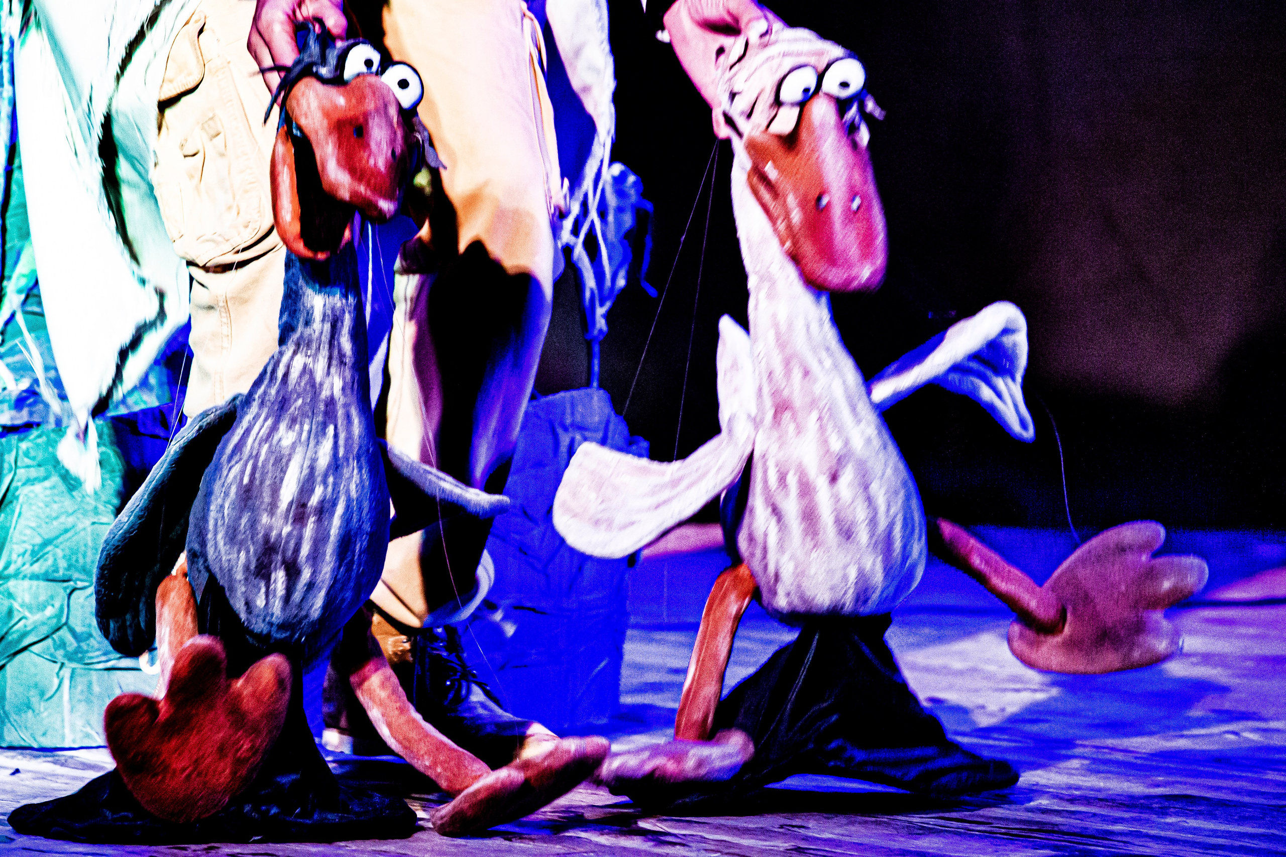 Спектакль театра Саквояж Лягушка путешествиница. Фотограф в Сочи Юрий Шептаев