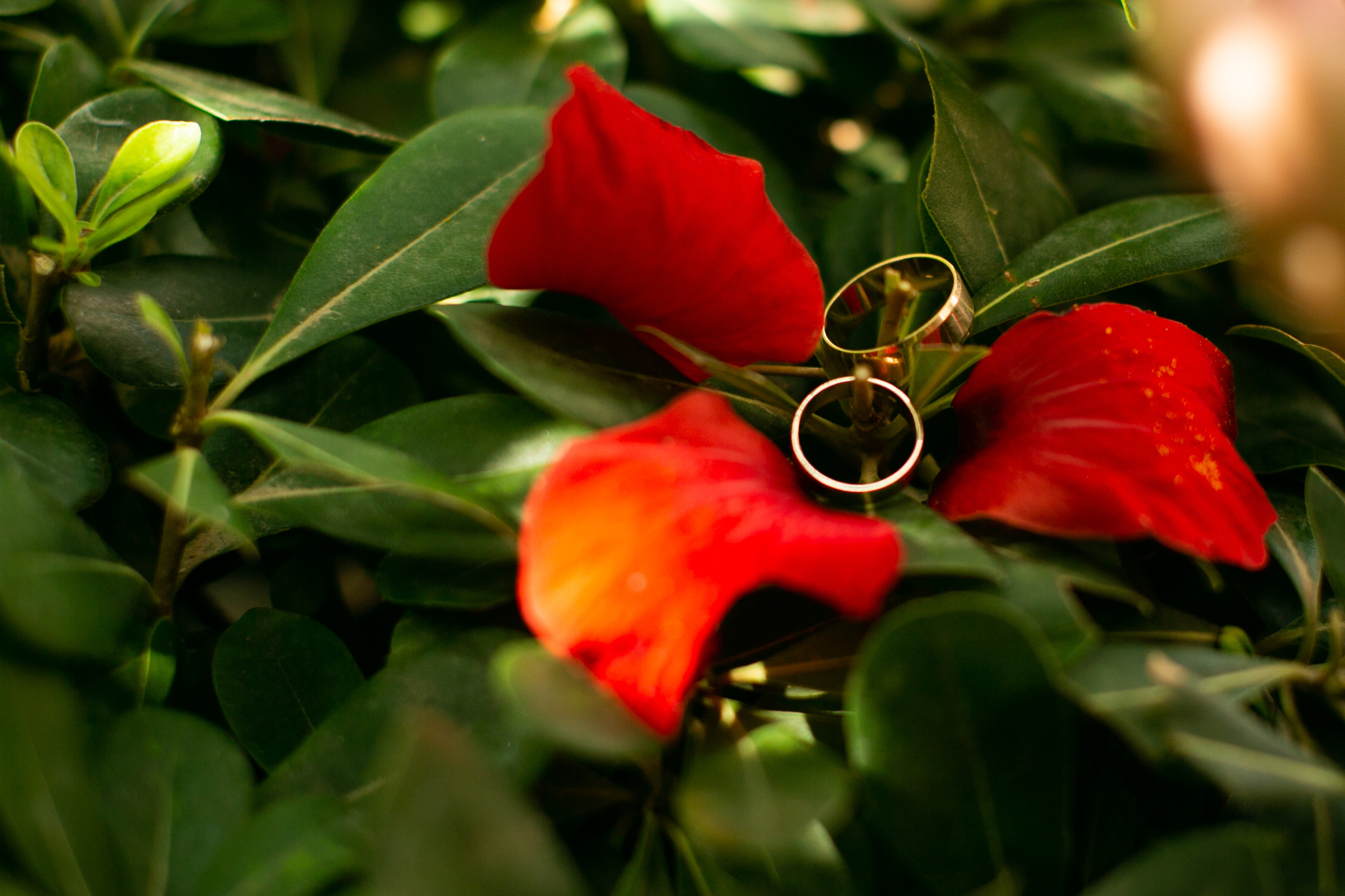 Наташа и Тарас. Майорка, Испания. Свадебный и семейный фотограф Ольга Сморжанюк