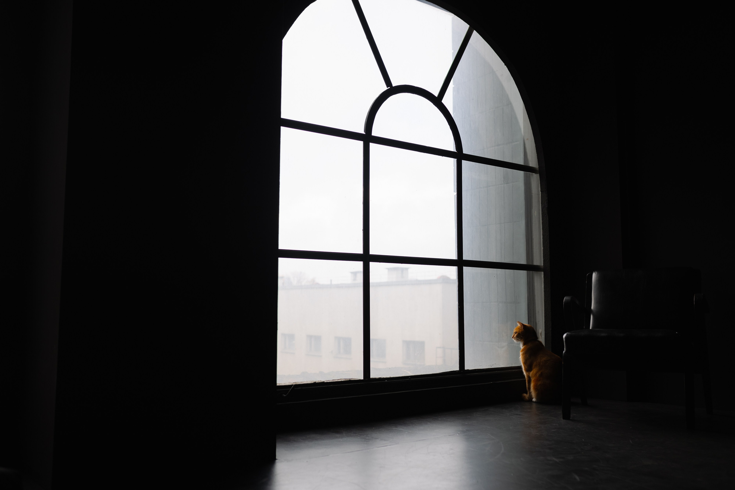 Семейная новогодняя съемка. Свадебный фотограф в Минске/Беларуси Сергей Спиридонов