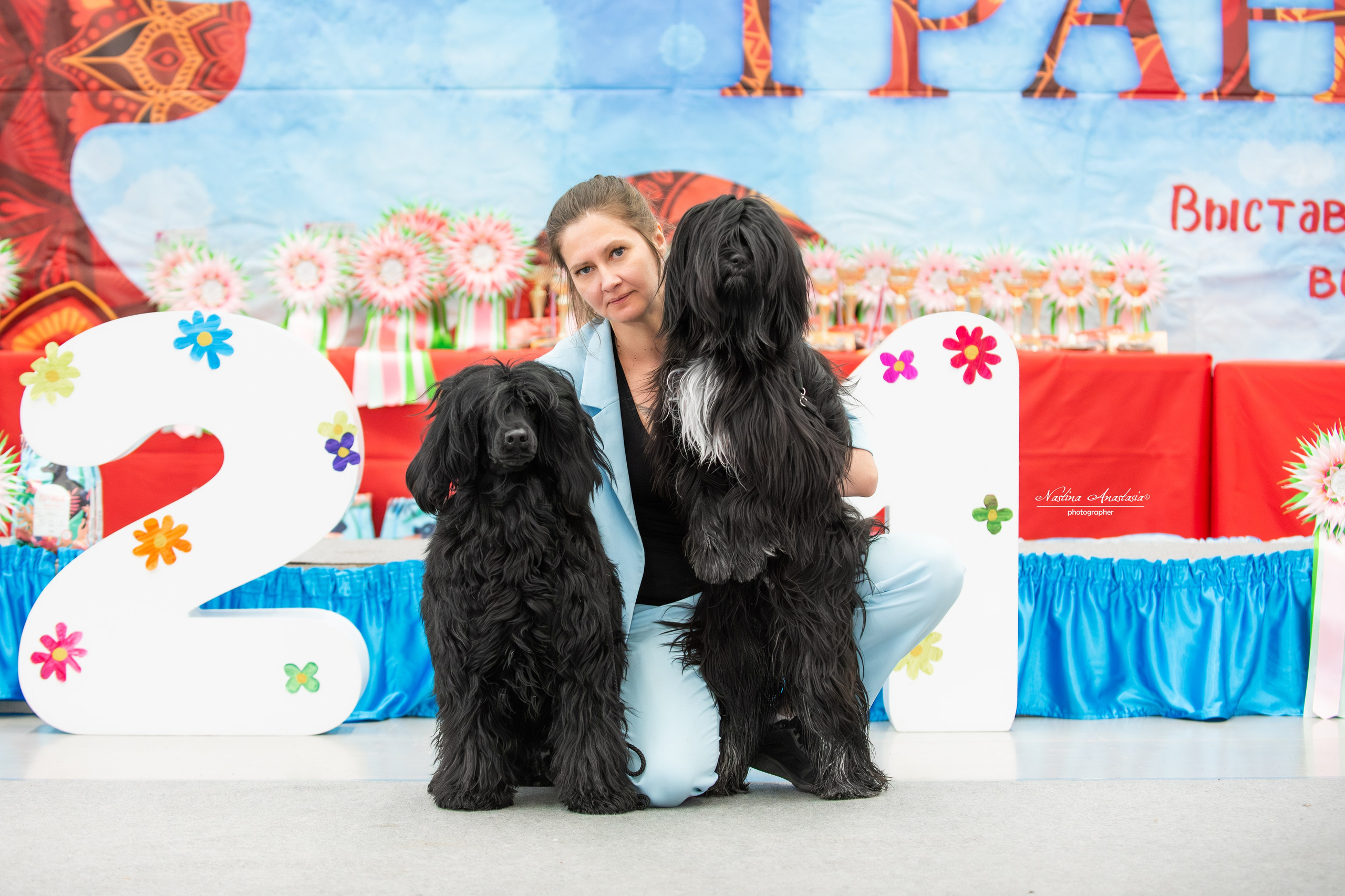 Выставки. Фотограф — Анималист