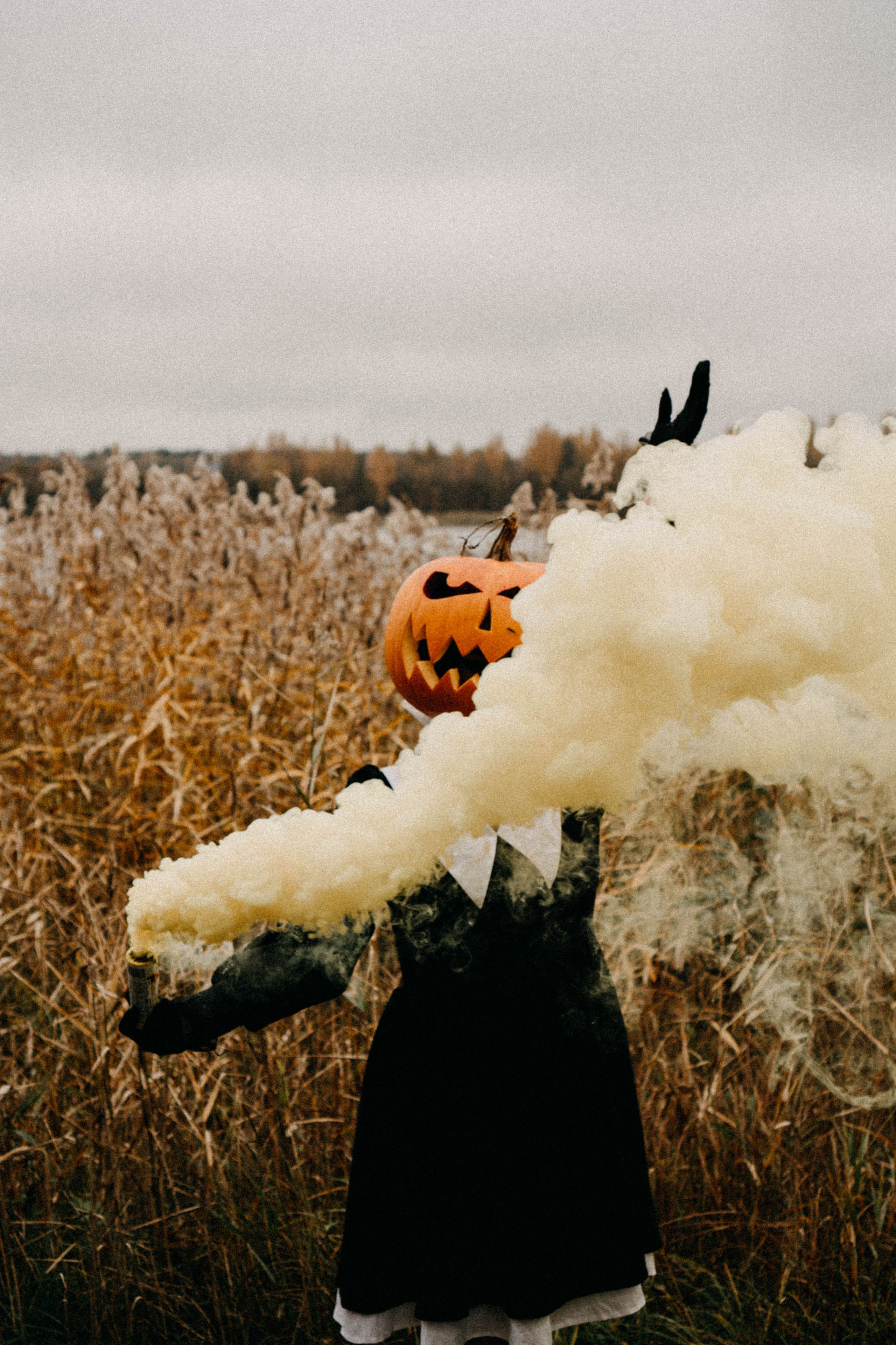 Осеняя. Профессиональный фотограф, Санкт-Петербург — Виктория Богомолова