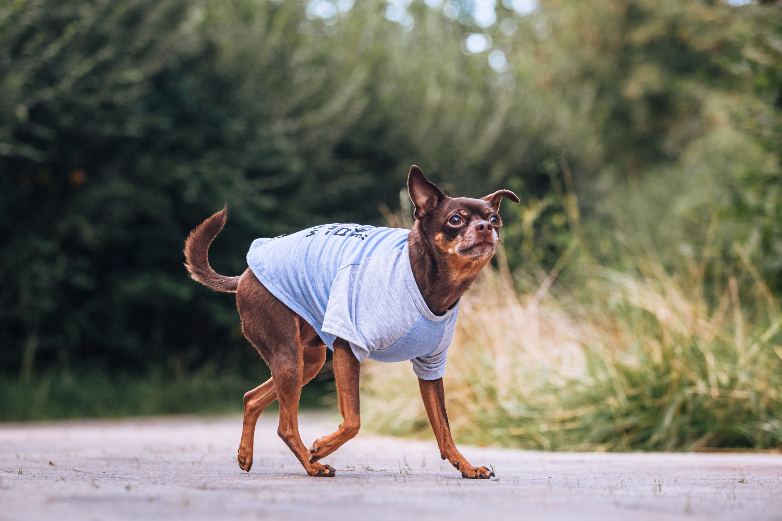 Восточный мост. Фотограф-анималист Татьяна Степанова