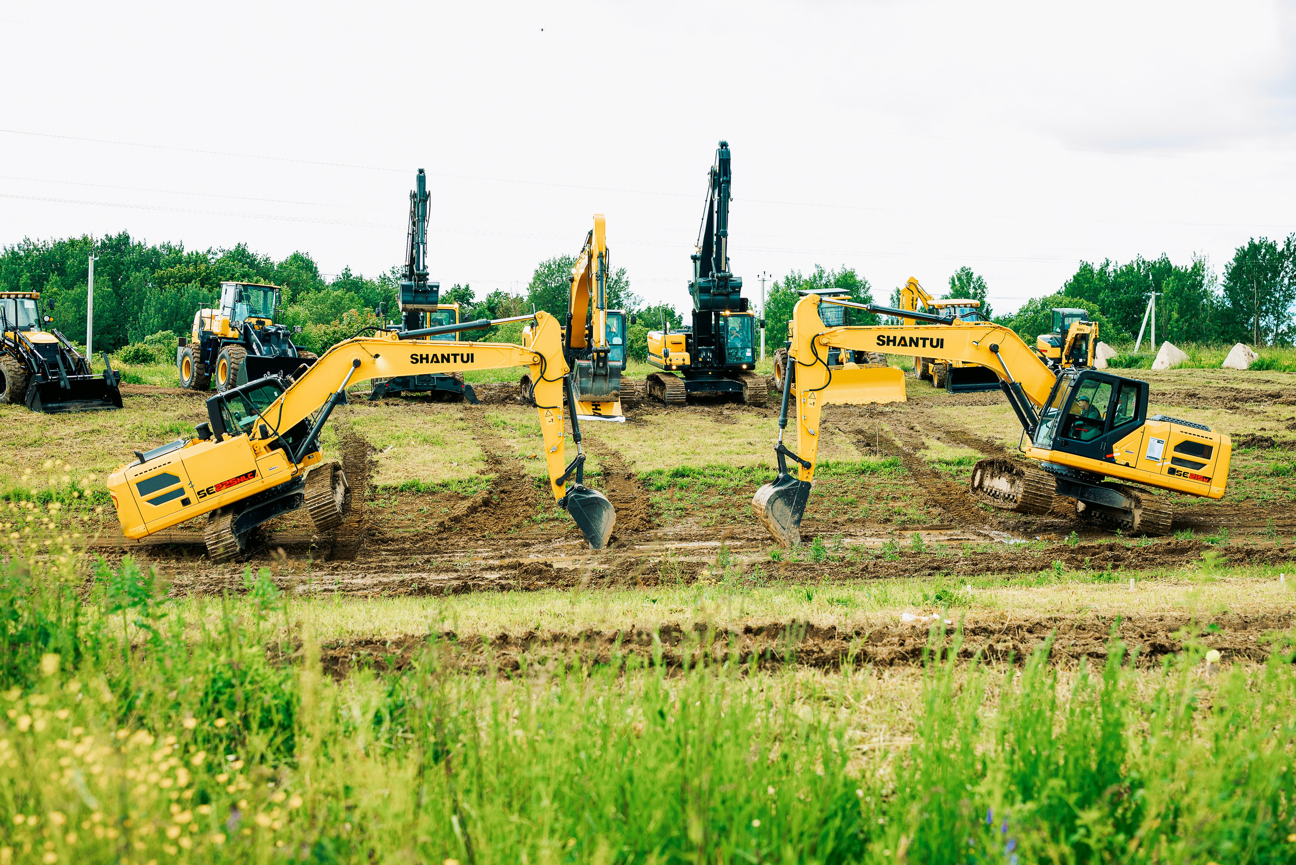 Road show. Дарья Медведева