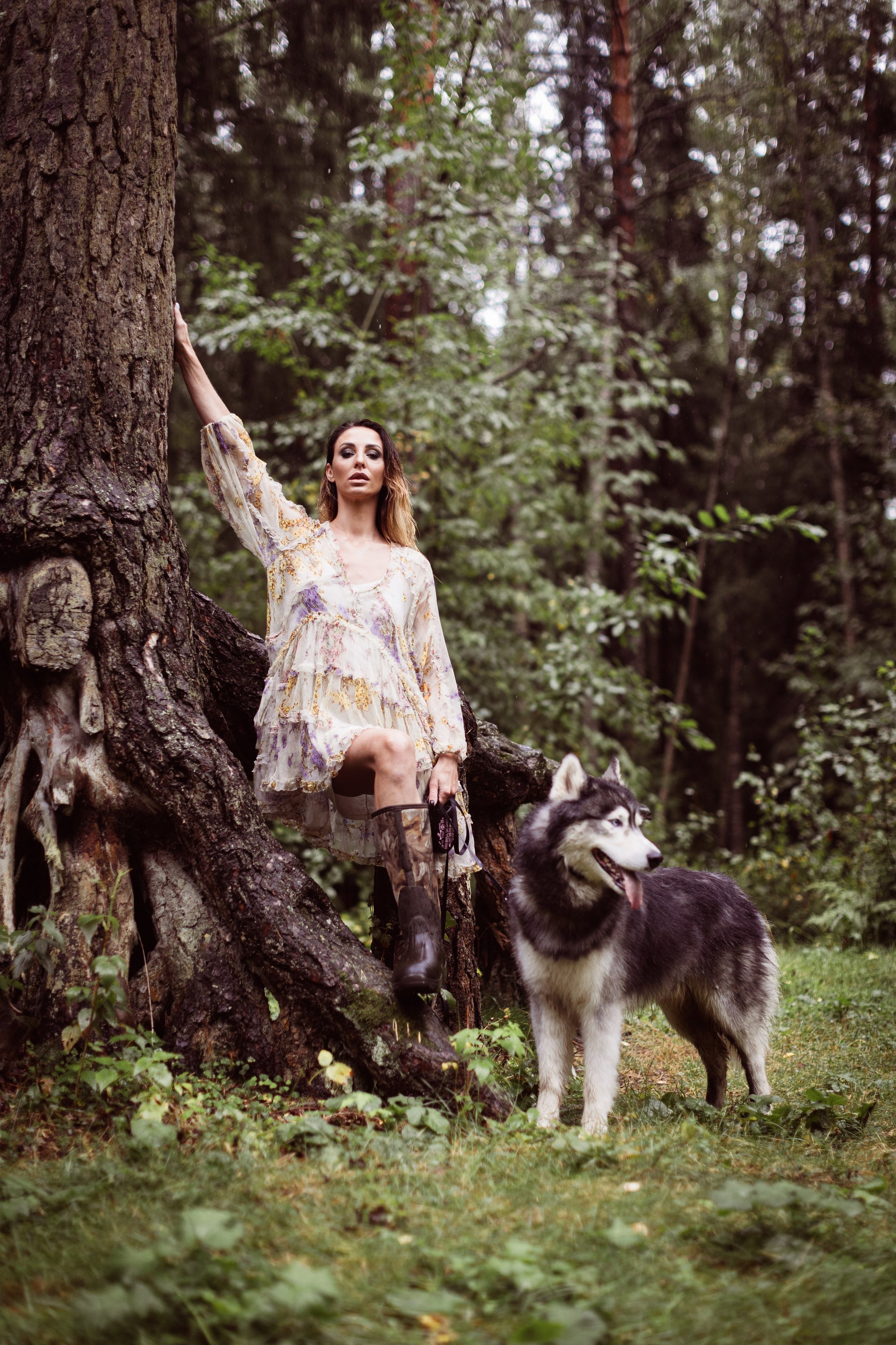 Фотосессии с животными. Добродеева Алла фотограф, Москва