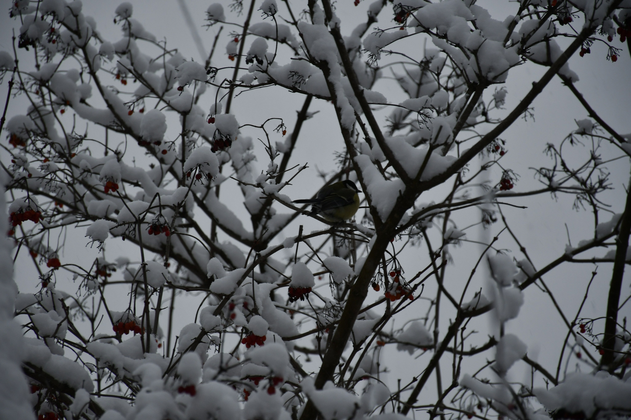 Природа. Анастасия Куц | фотограф | Пермский край