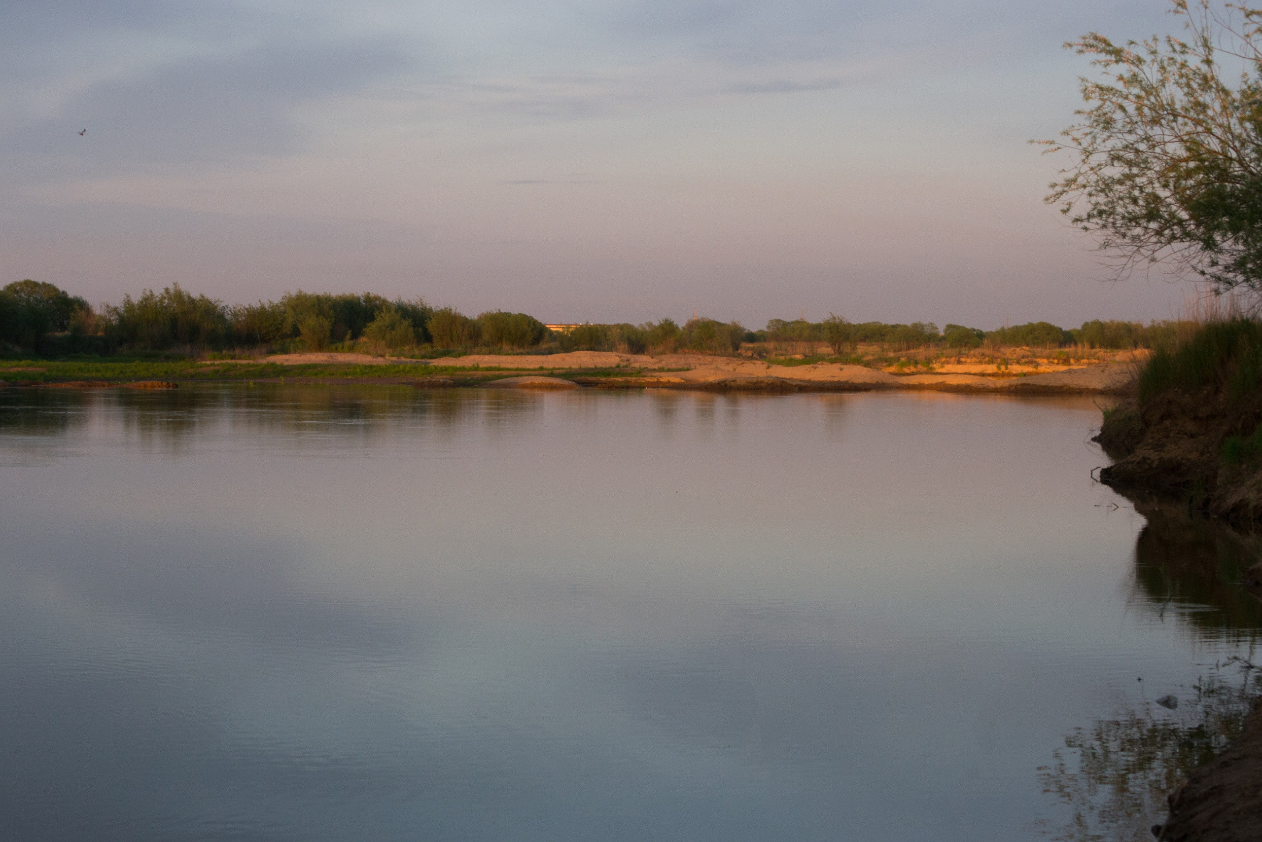 дачи, город, архитектура, стрит, репортажная фотография, фотография, Хабаровск, фотосессия, фотограф, дом, новостройка, улицы, жизнь города, town, art, photo, photographer, photo, Khabarovsk, Far East, street photo, природа, Дальний Восток, тайга, цветы, закат, небо, облака, nature, clouds, forest, flower, sunset