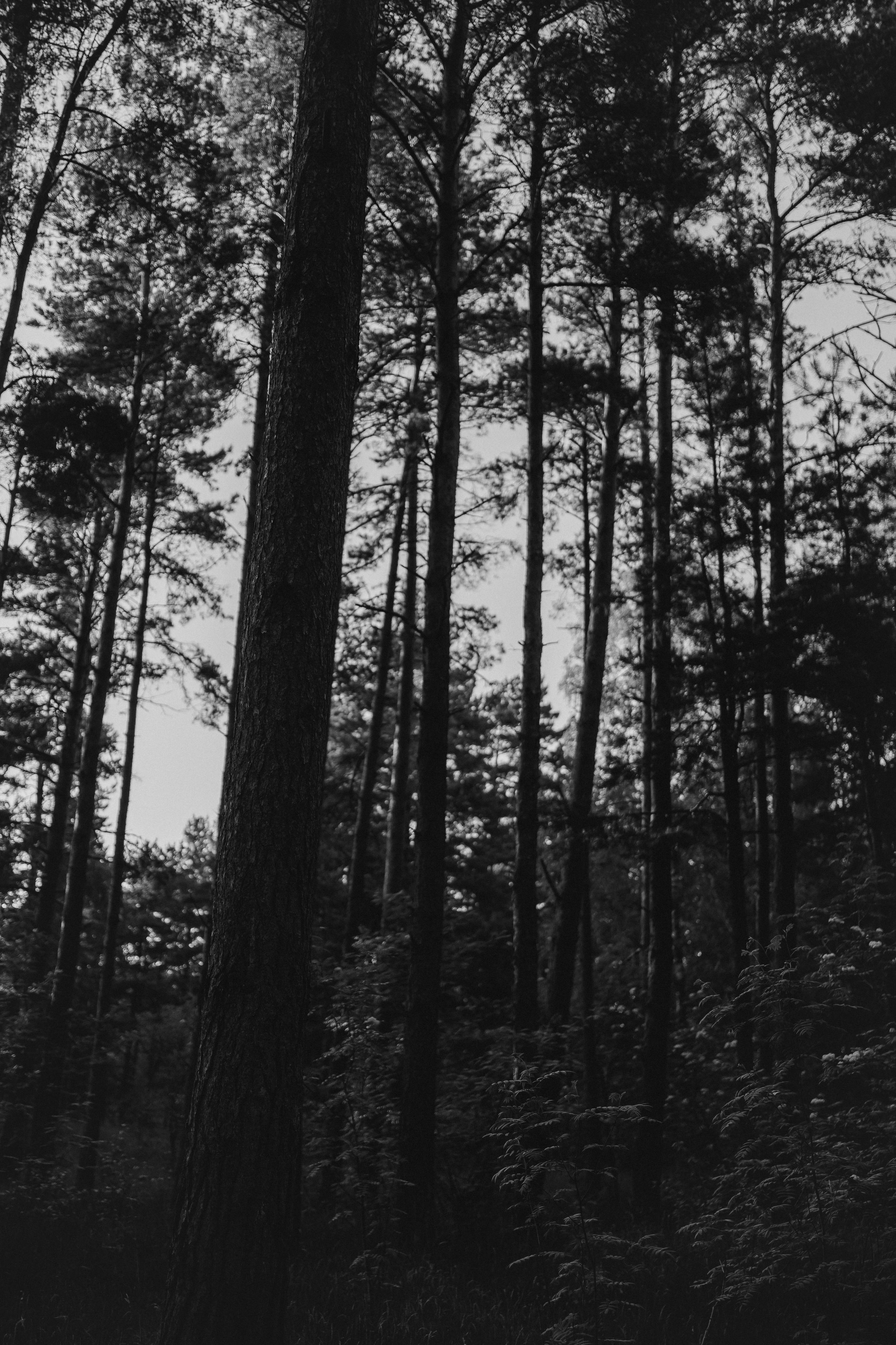 Нора и Андрей. Свадебный и семейный фотограф в Калининграде Алина Свиклан