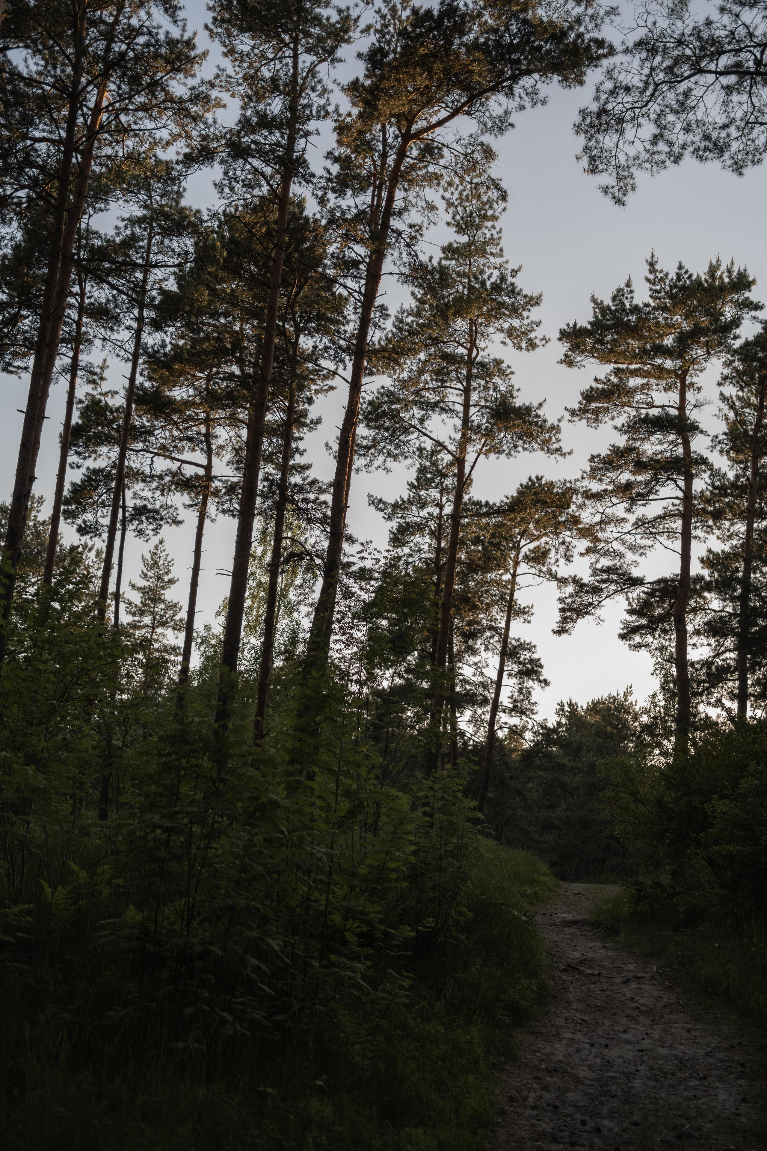 Нора и Андрей. Свадебный и семейный фотограф в Калининграде Алина Свиклан