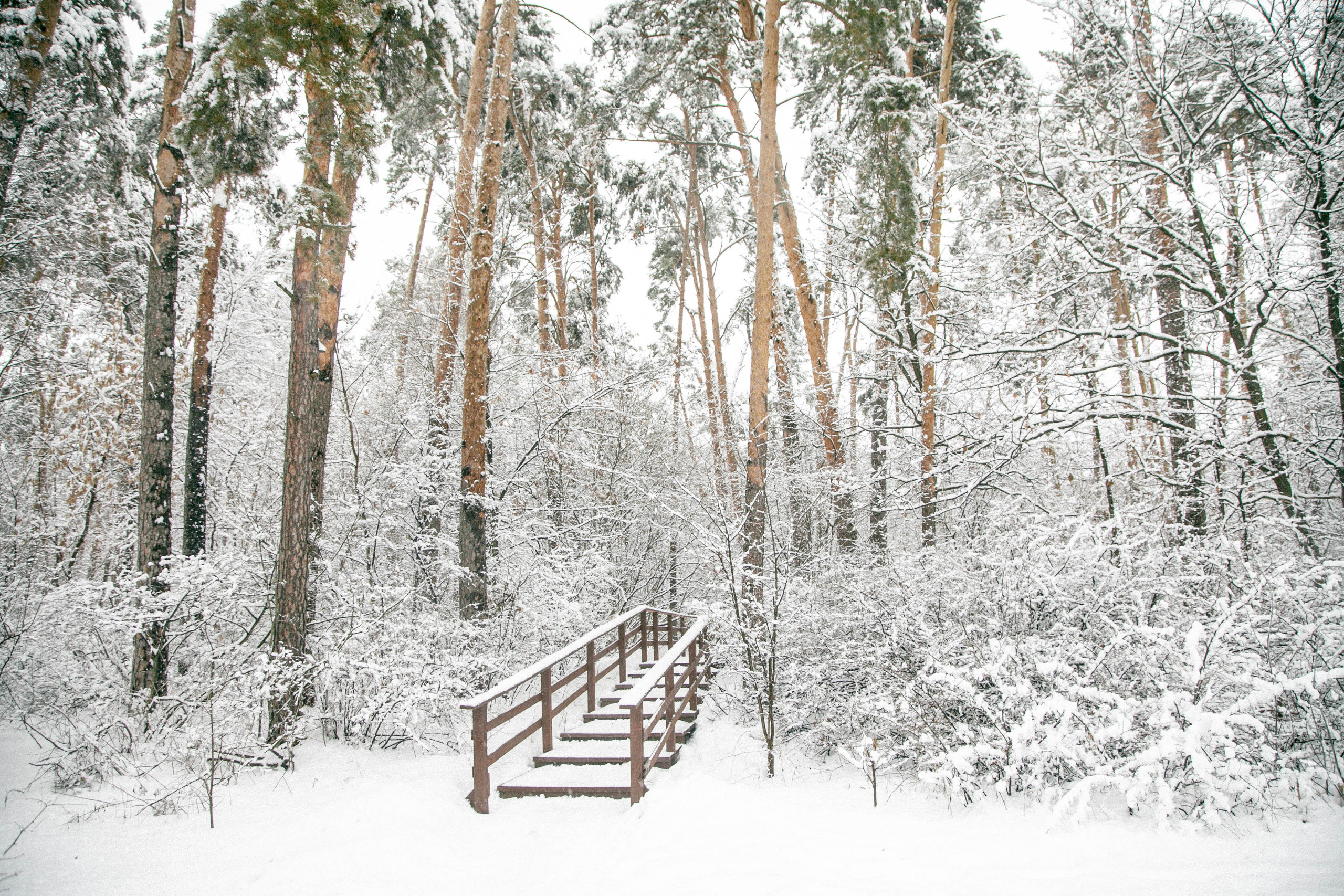 ~ Зимние фотосессии. Информация ~