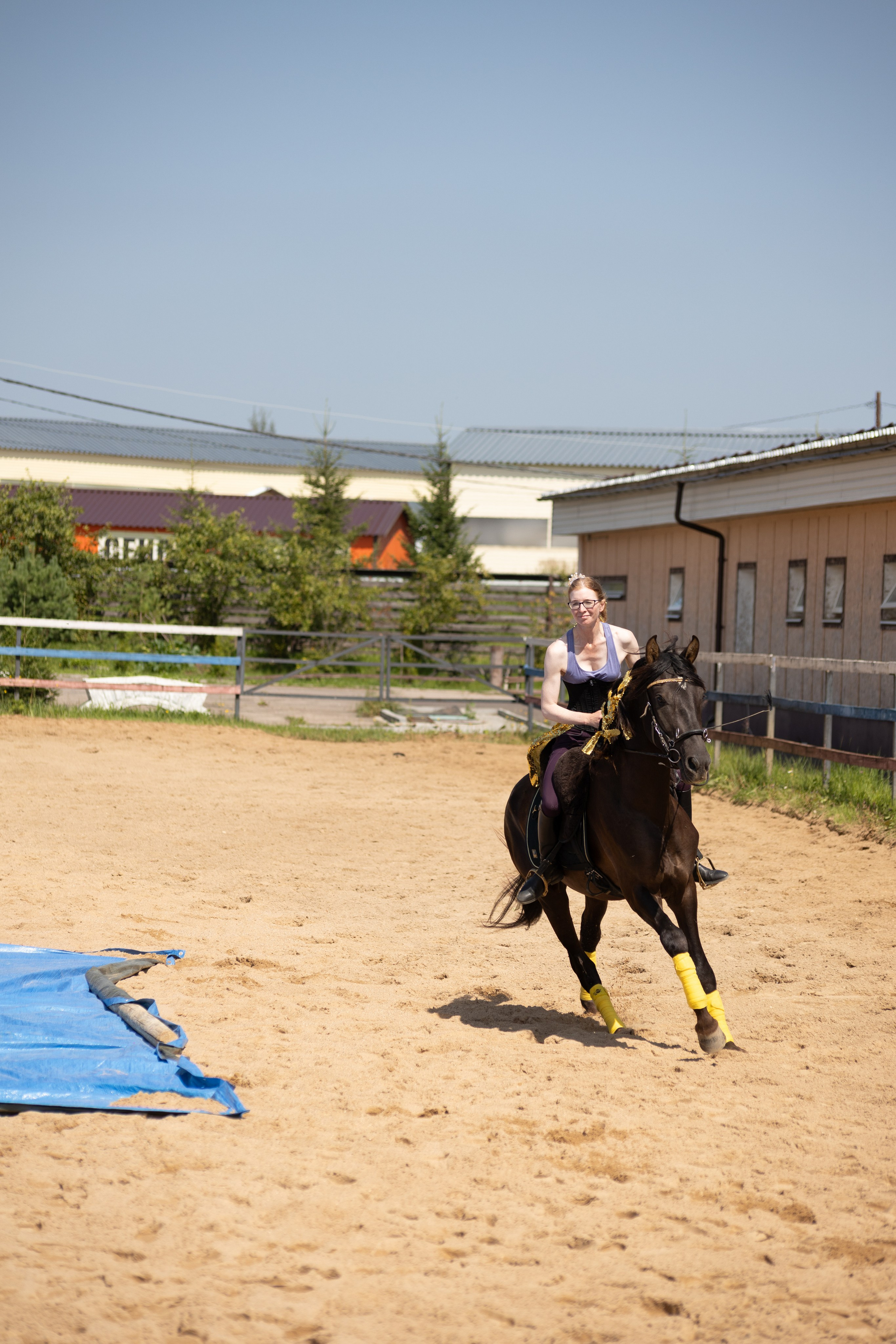 Конюшня. Фотограф в Москве и Истре