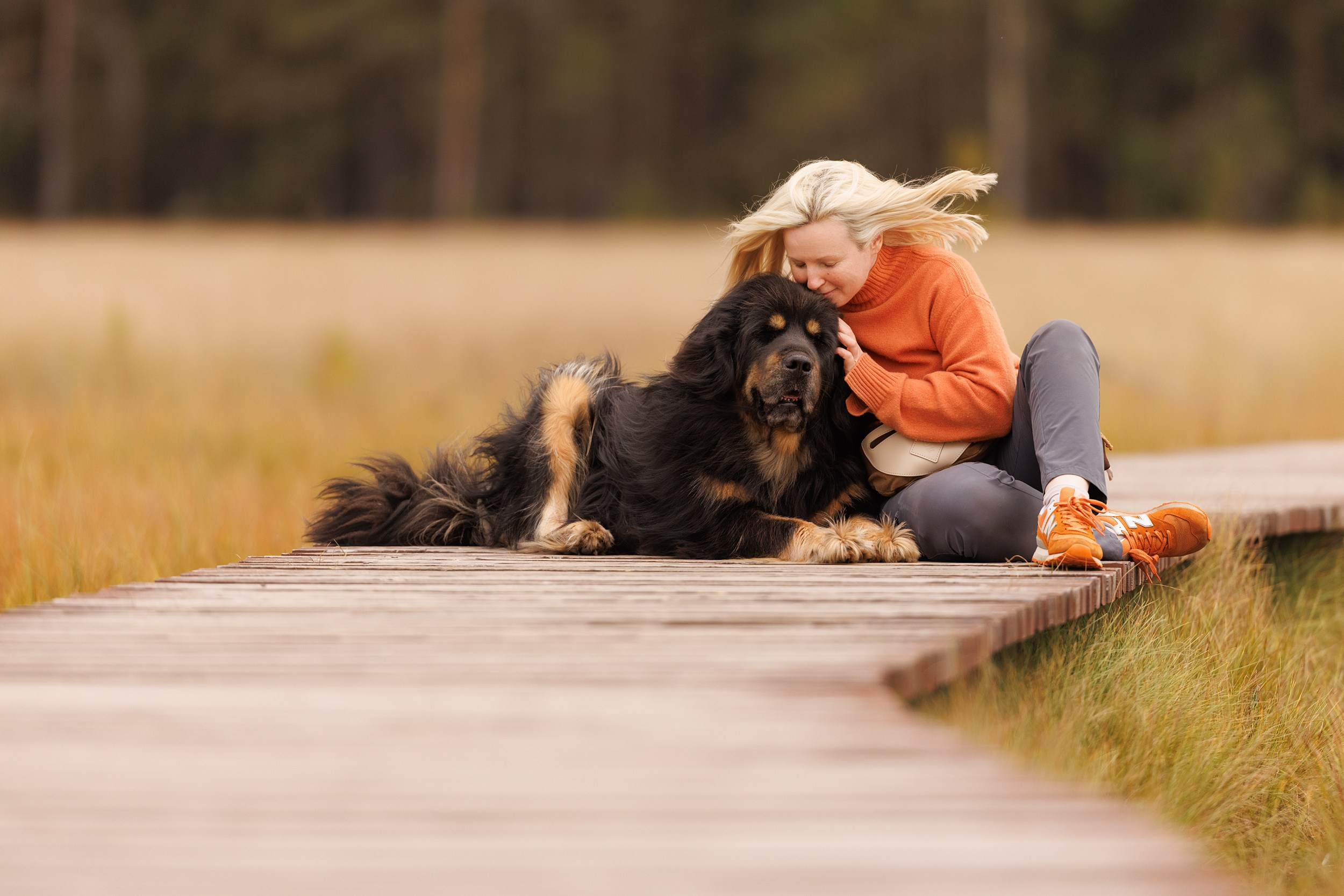 Собаки. Фотограф Анастасия Ветковская, Москва