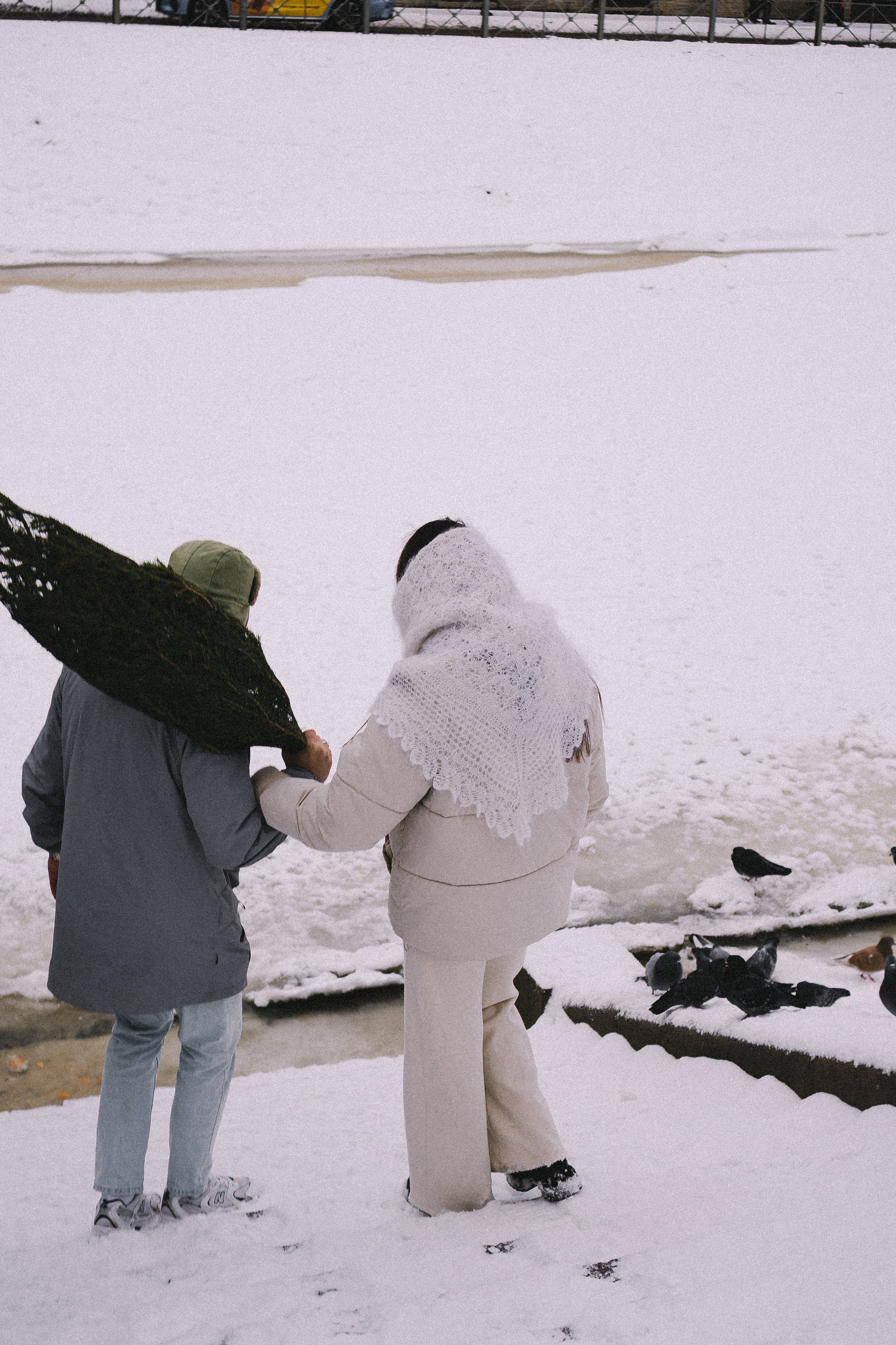 Зимняя история. Профессиональный фотограф, Санкт-Петербург — Виктория Богомолова