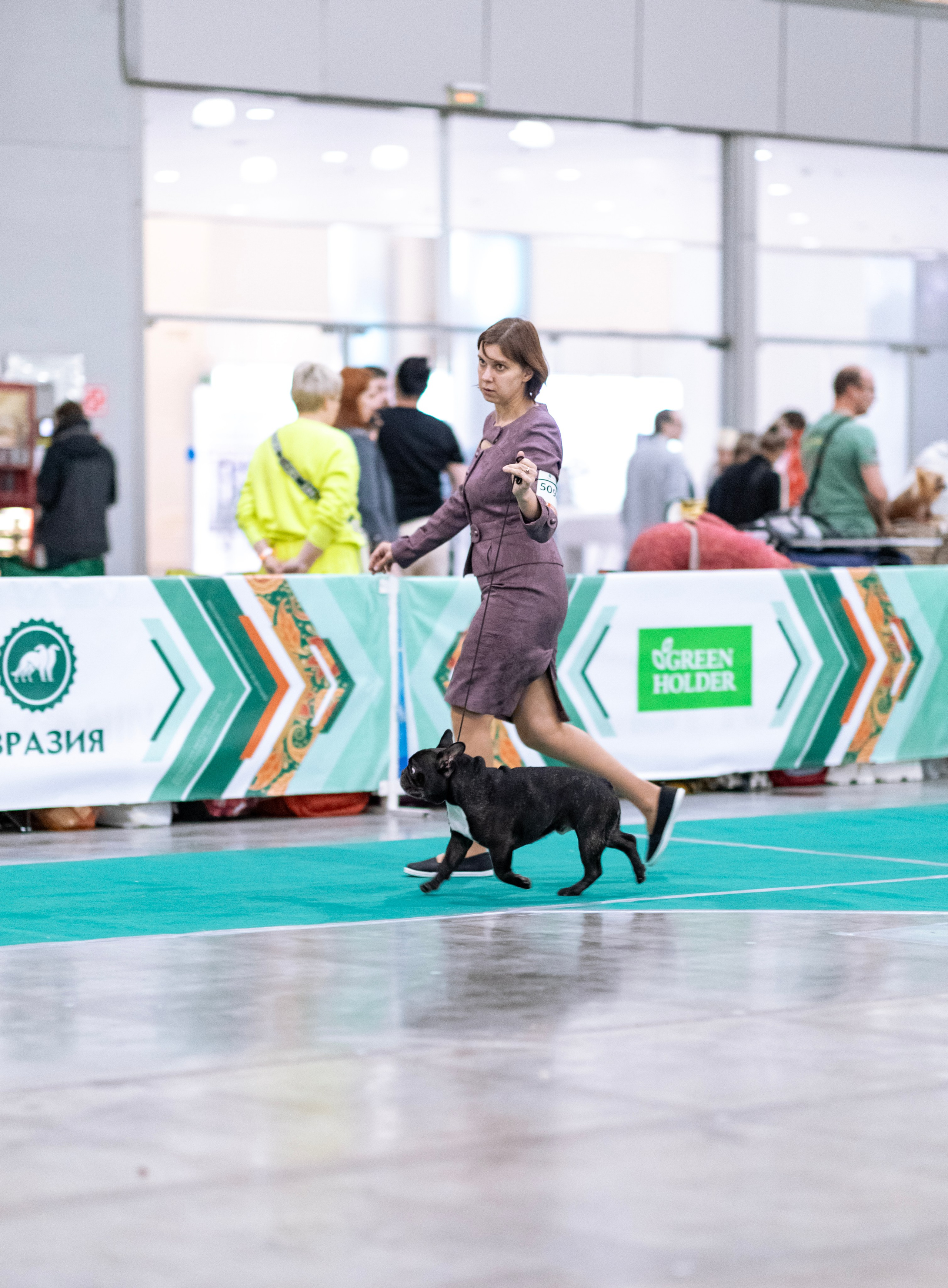 Евразия. Фотограф — анималист Татьяна Ли