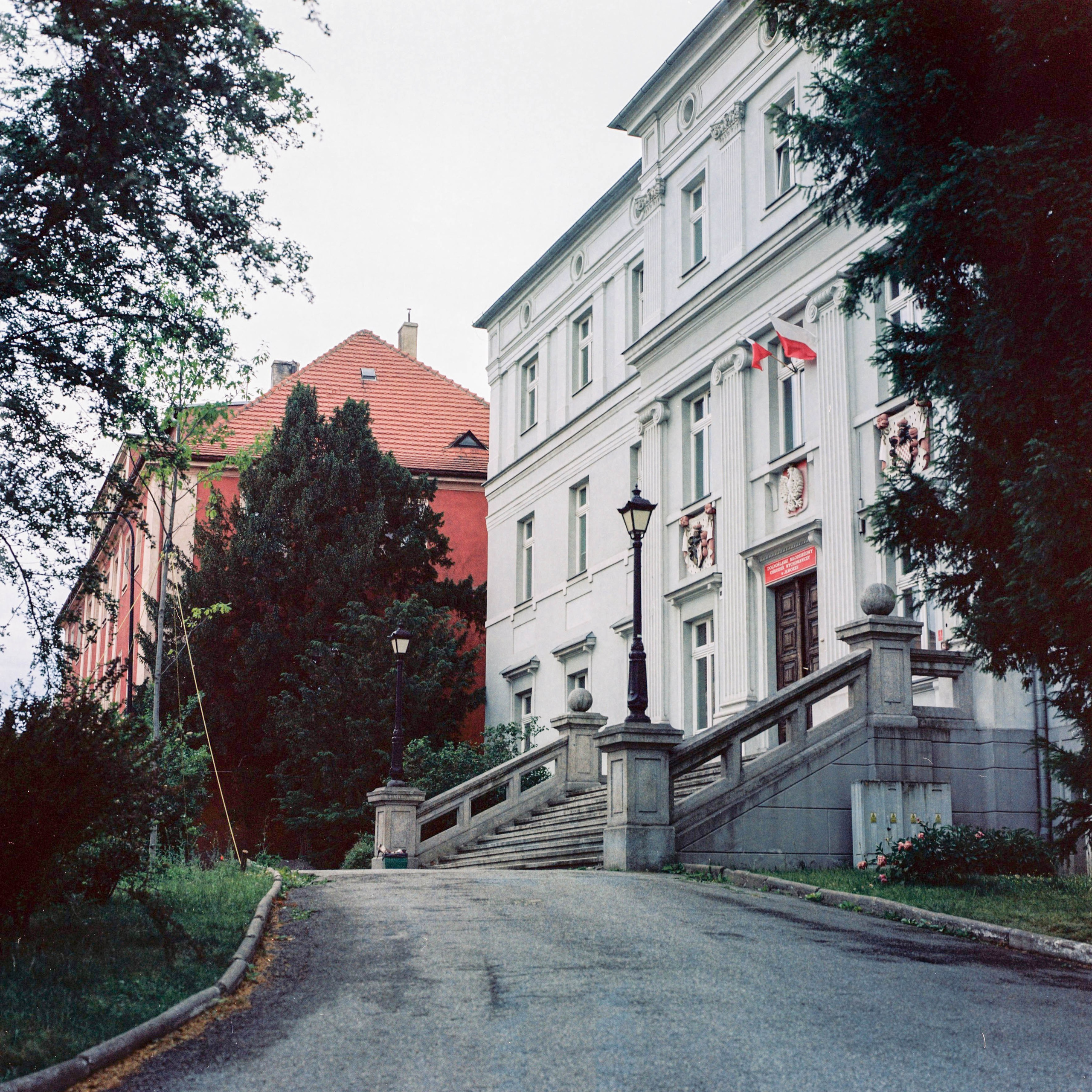 Growing pains. Photographer, Documentary and Art