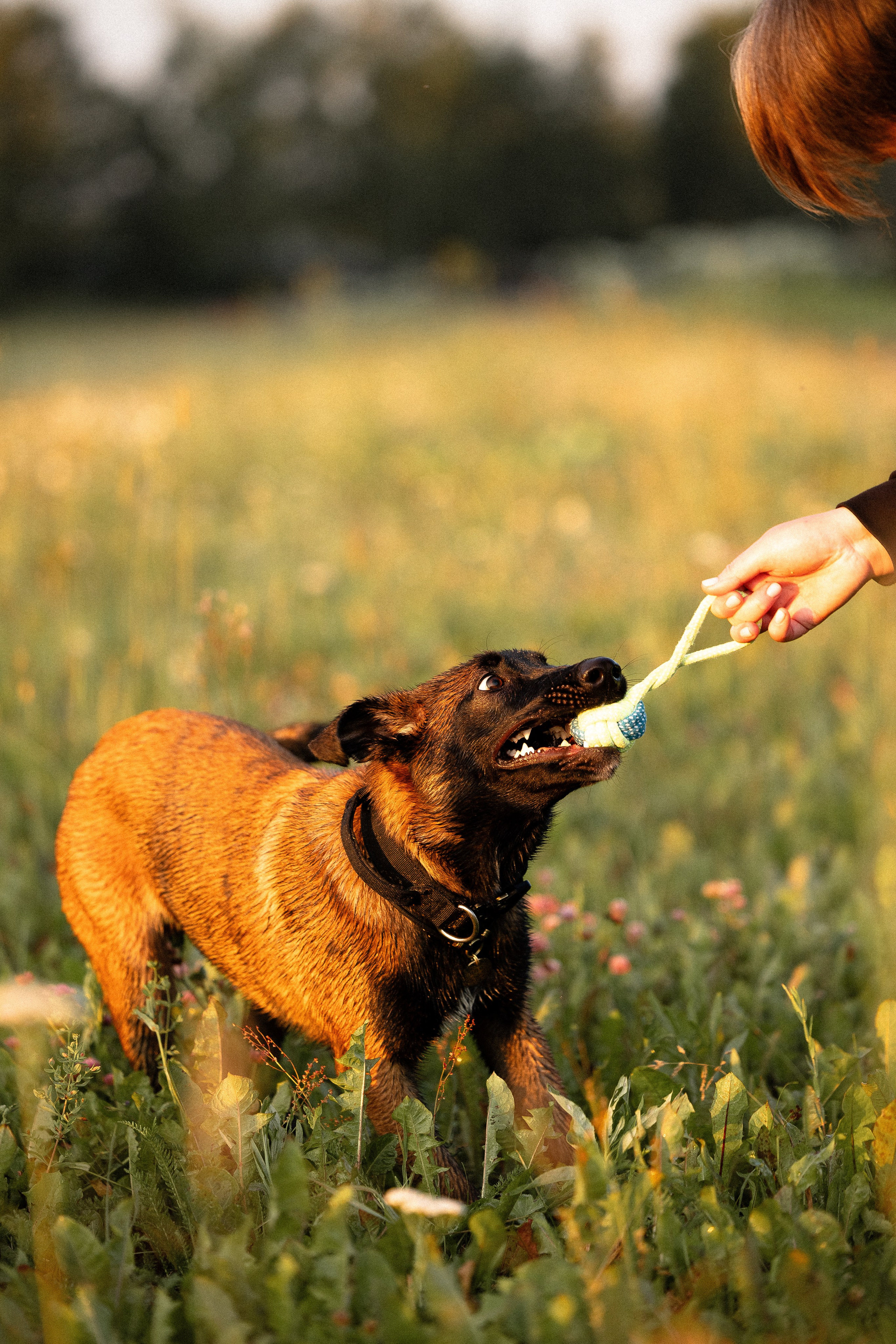 Галина и Лоя. Фотограф и видеограф анималист Аганина Дарья