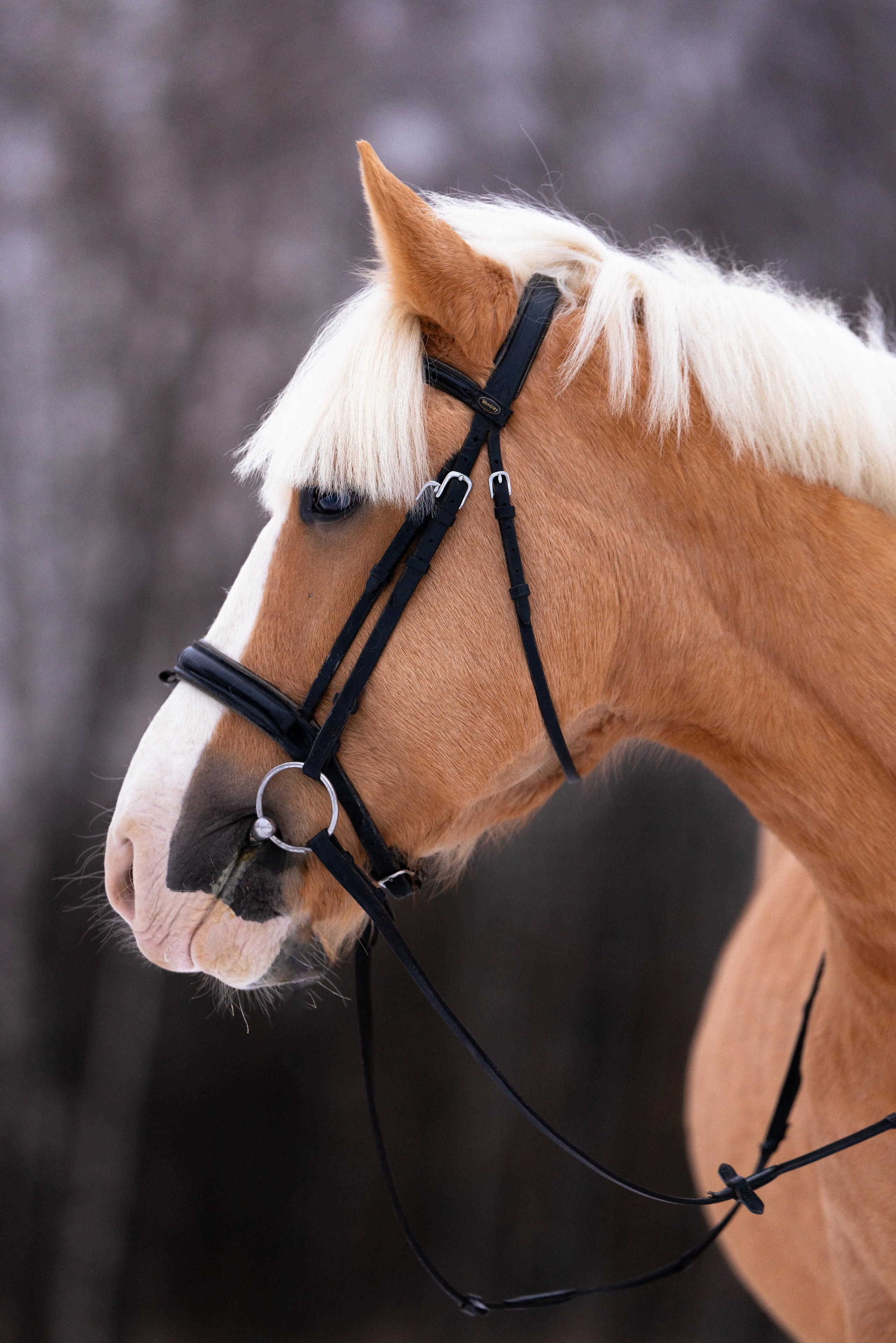 Бейкер. Фотограф и видеограф анималист Аганина Дарья