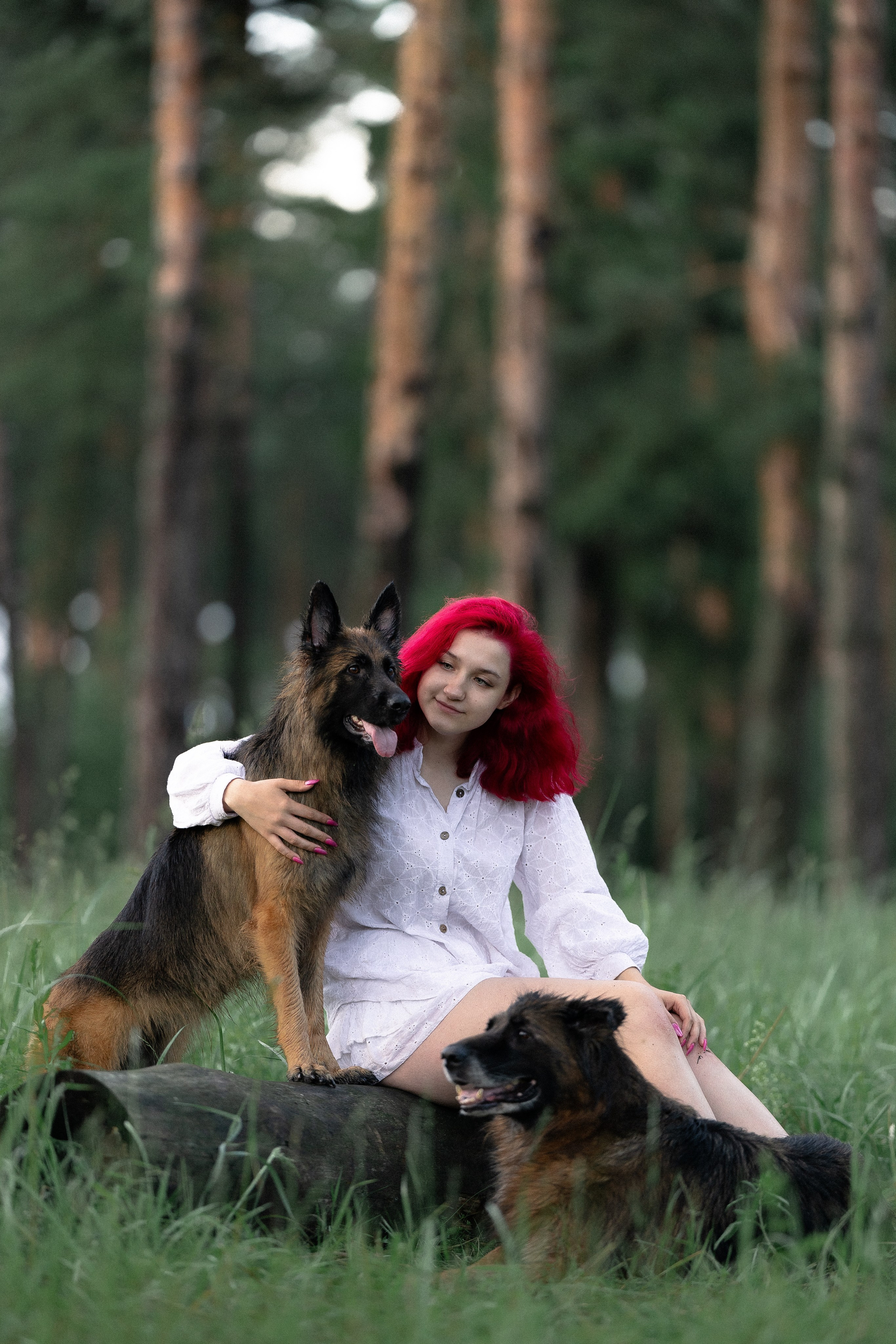 Алена, Фанни и Фрея. Фотограф и видеограф анималист Аганина Дарья