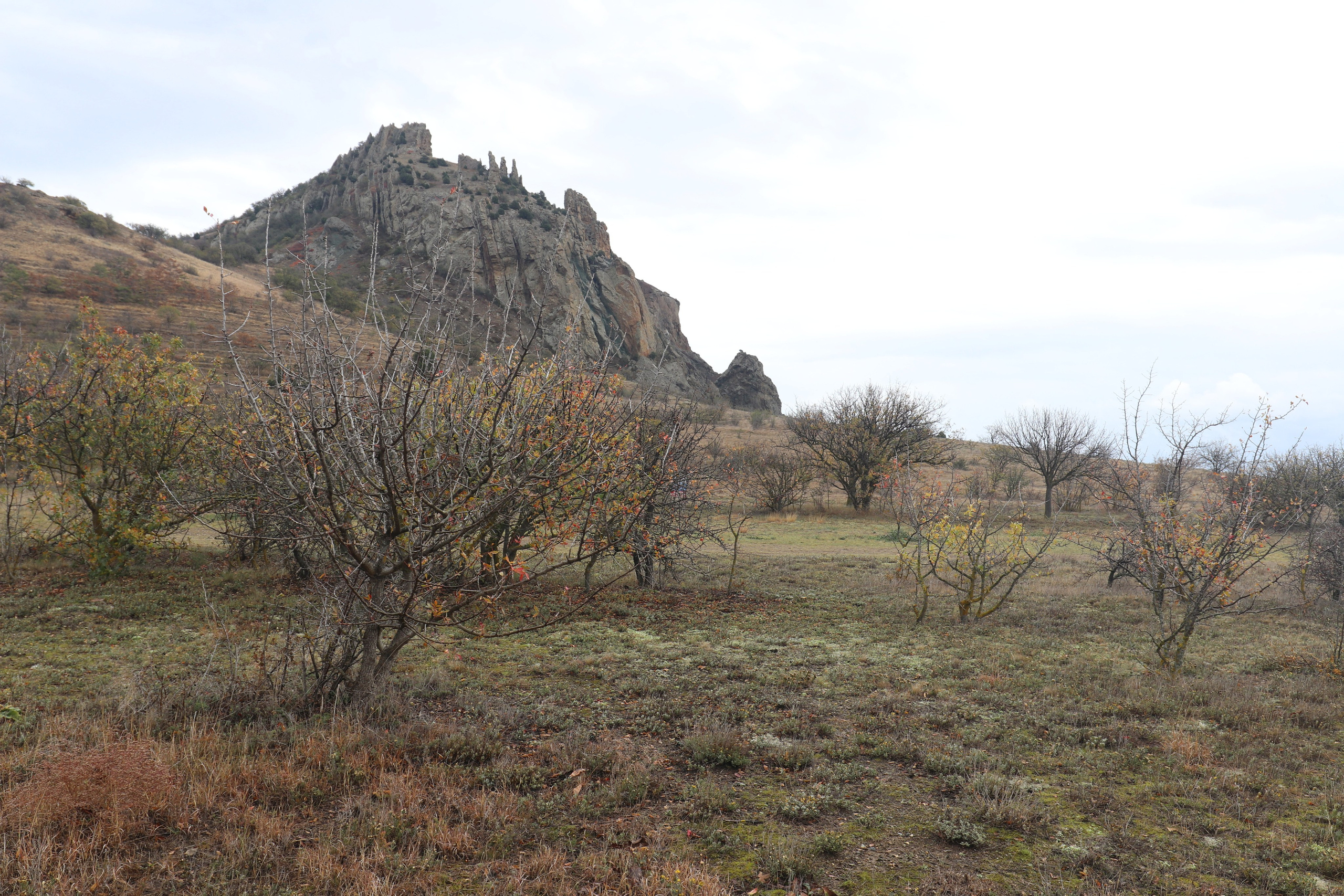 Крым. ЮБК (Судак, Карадаг). Ноябрь 2020. Путешественник-фотограф из Санкт-Петербурга Татьяна Свистулина