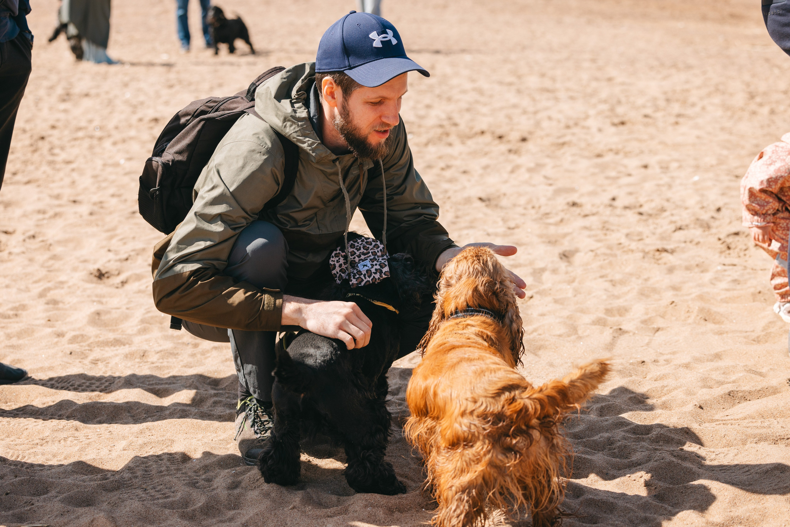 Спанимания. Фотограф анималист Осипчикова Мария