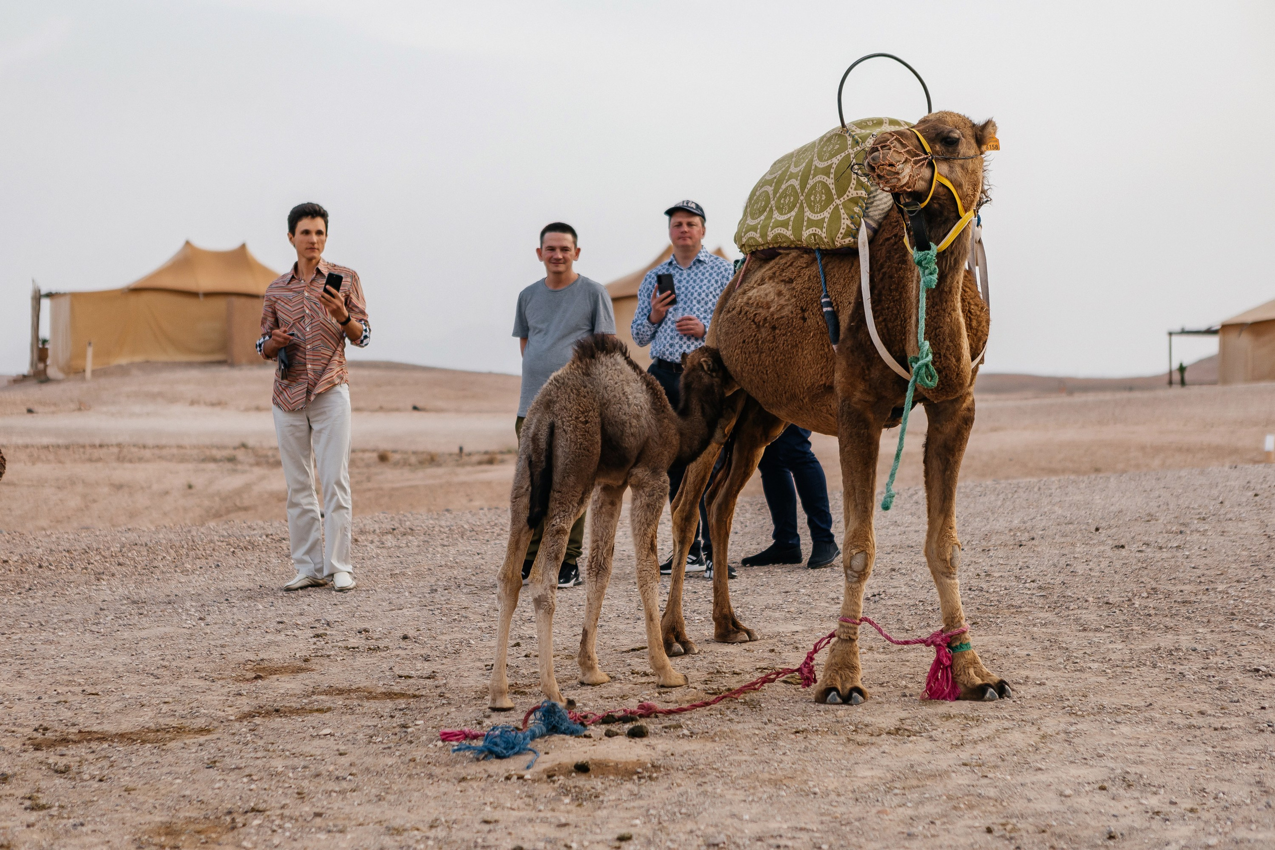 Марокко Альфа Банк. Фотограф в Москве Дмитрий Жарков