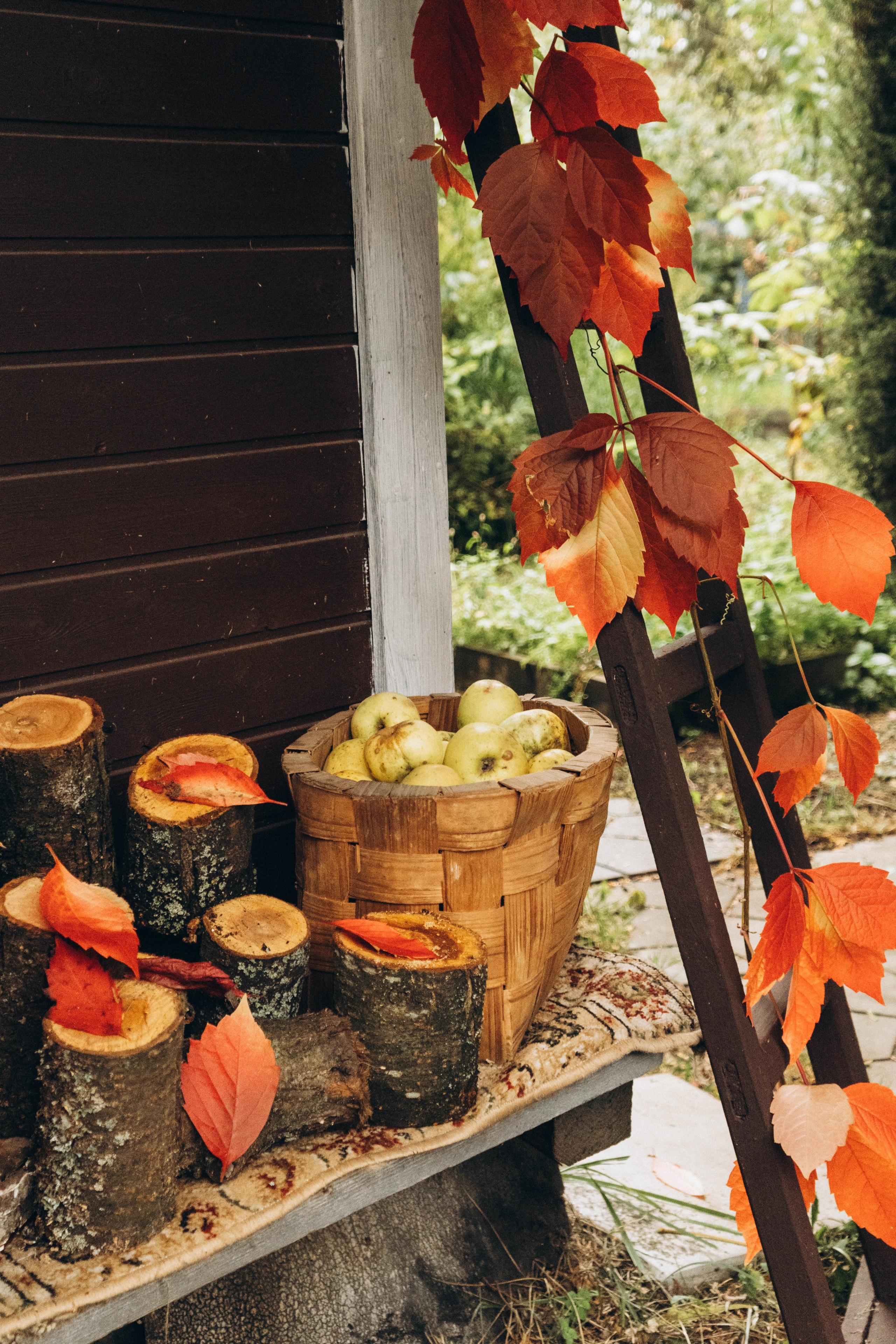 Съемка студии «Аж уютно». Фотограф Москва Валерия Веденина