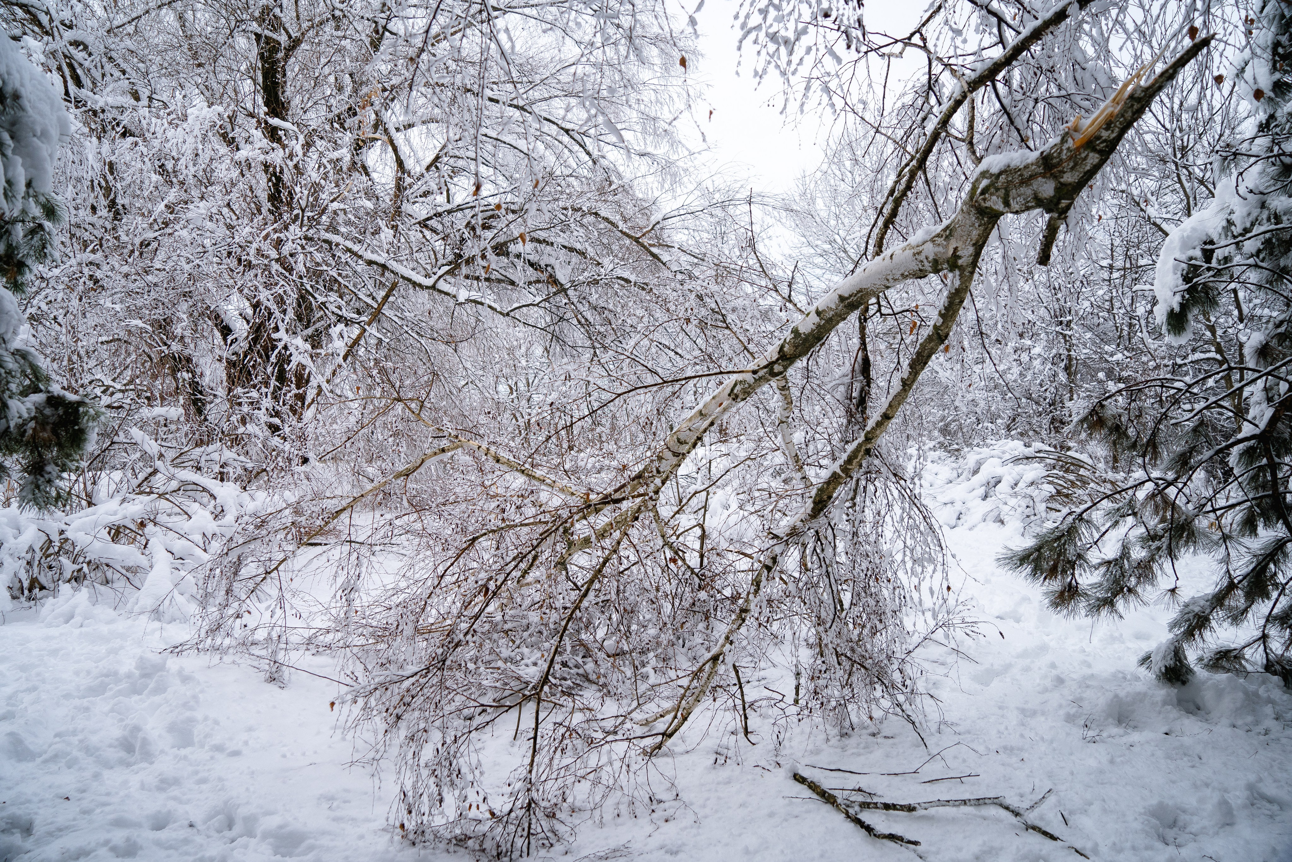 Зима 2024. Свадебный и семейный фотограф/видеограф в Краснодаре Наталья Осинская