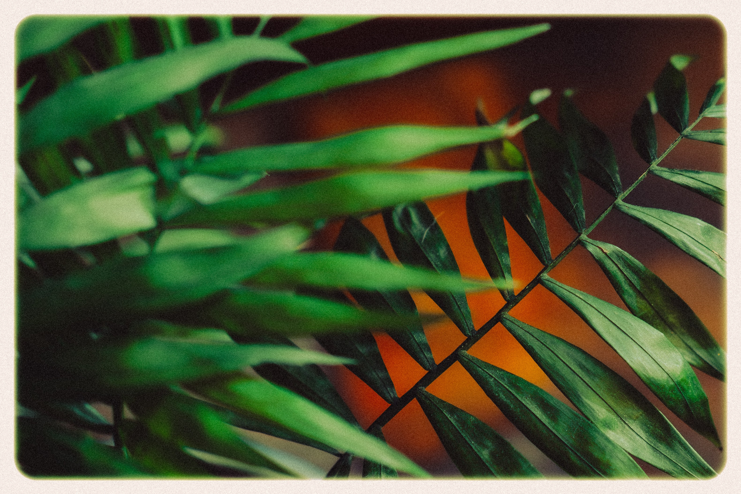 Концерт в В Душе Баре 🎙️ Педагог по вокалу СПб | Екатерина Манаева. Репортажный фотограф в Санкт-Петербурге Никита Лу