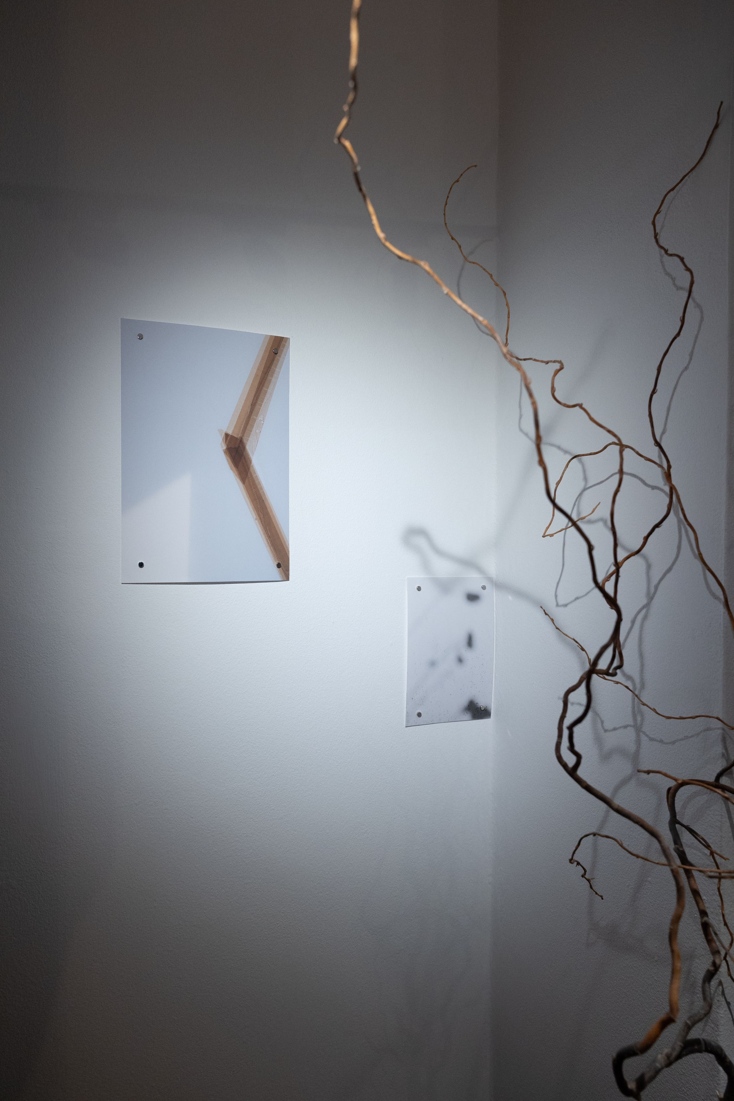 Personal exhibition Interior landscape 2025. Фотограф алина стерхова, алина стерхова фотограф, фотограф москва