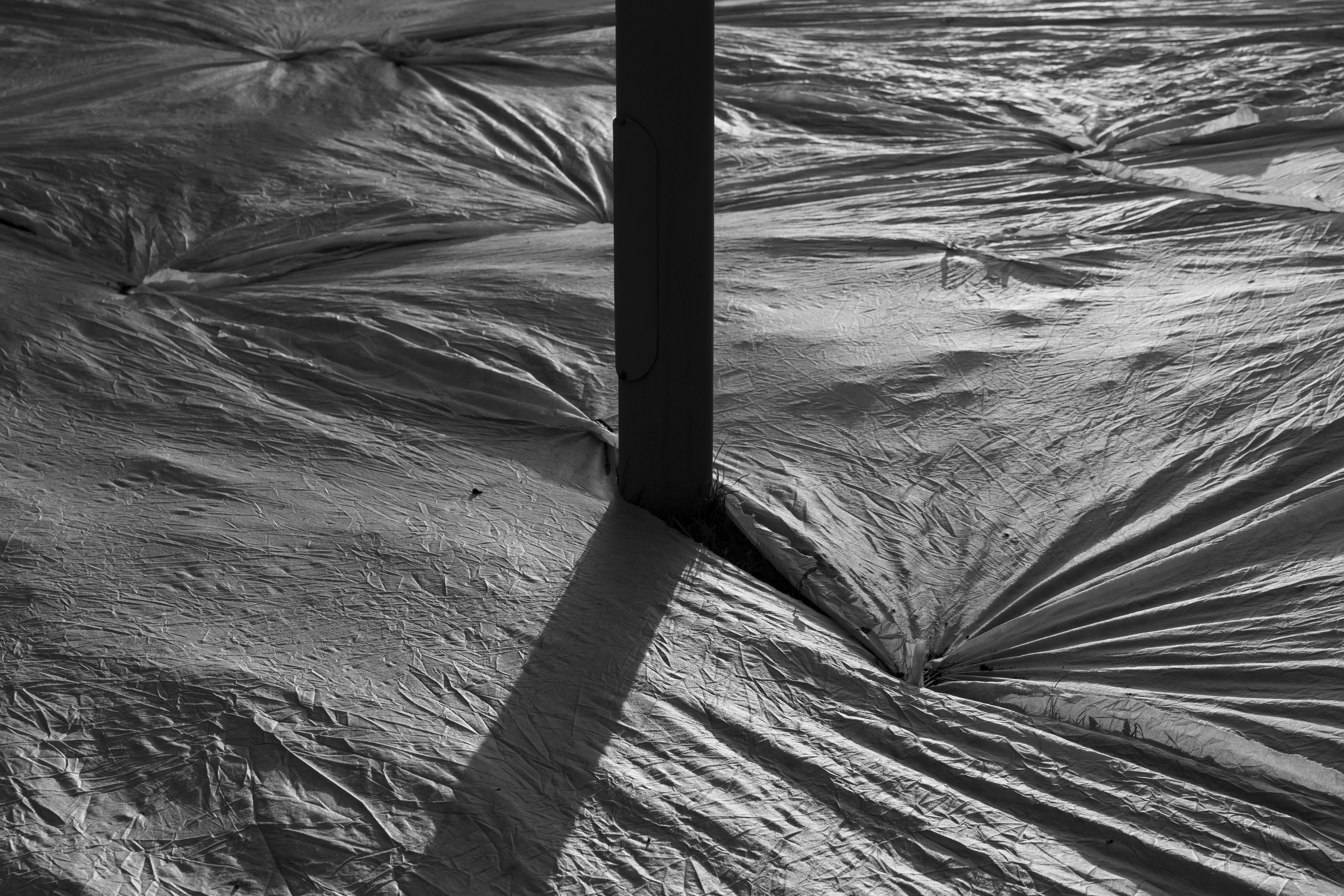 Art prints. Фотограф алина стерхова, алина стерхова фотограф, фотограф москва