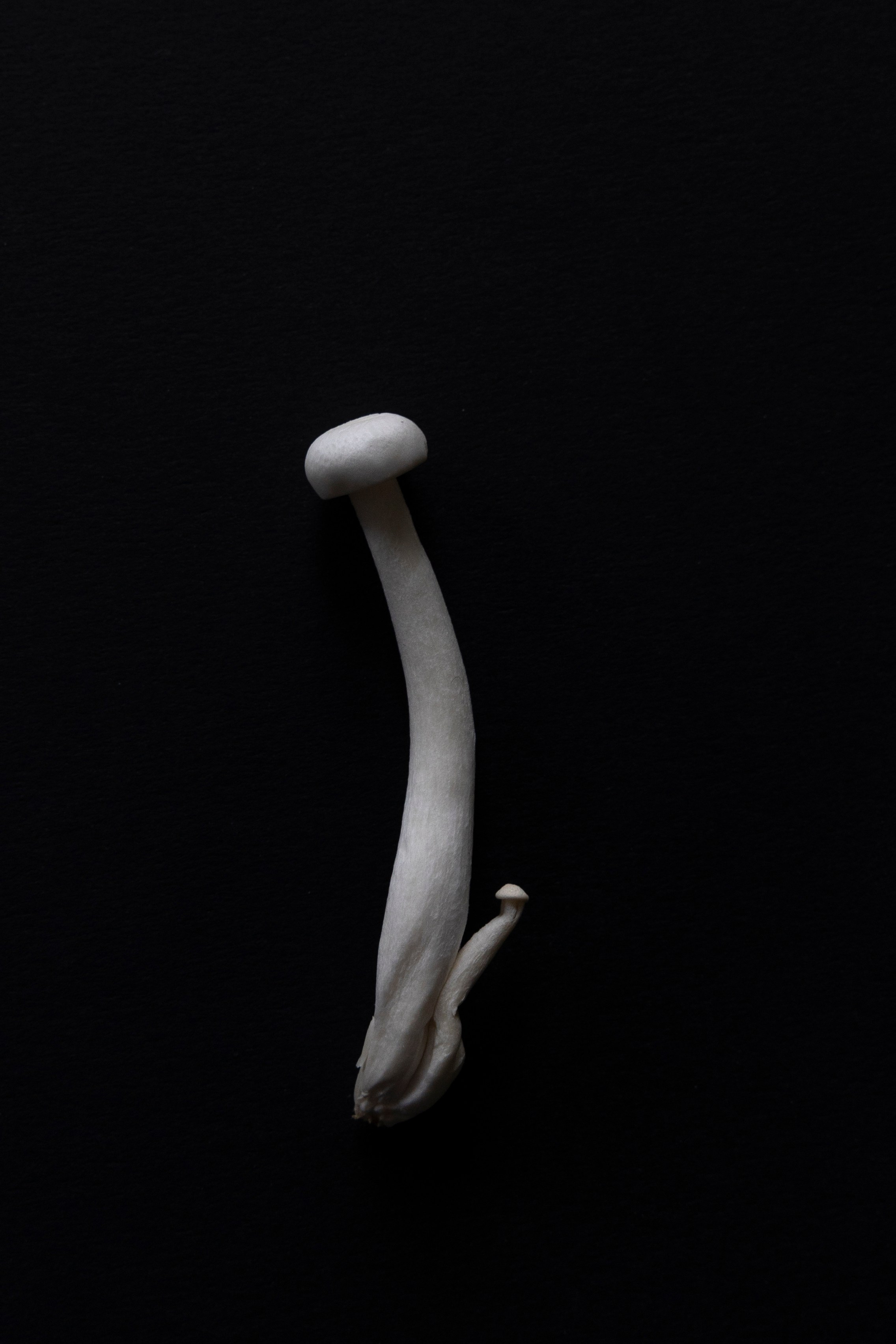 Art prints. Фотограф алина стерхова, алина стерхова фотограф, фотограф москва