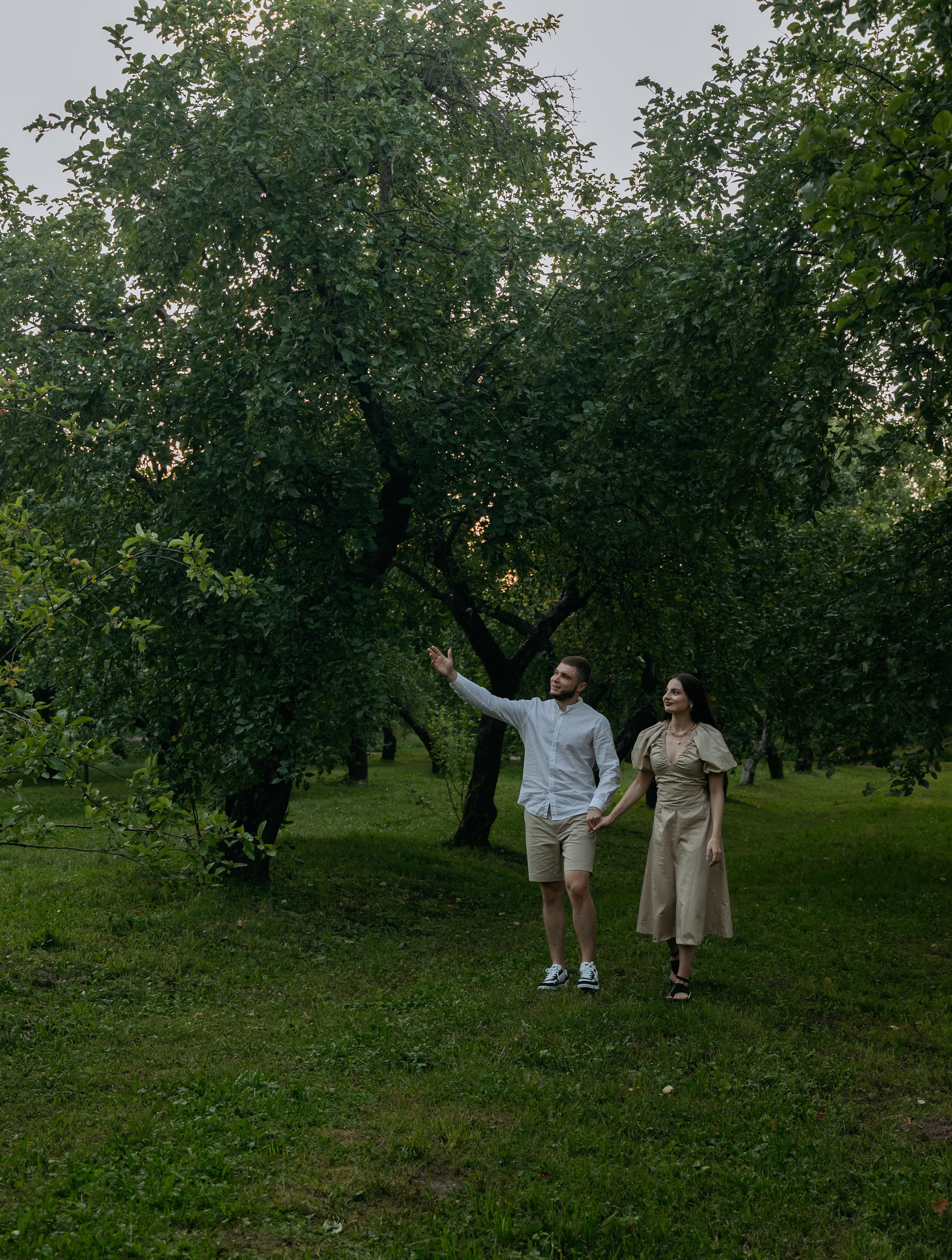 Романтический пикник