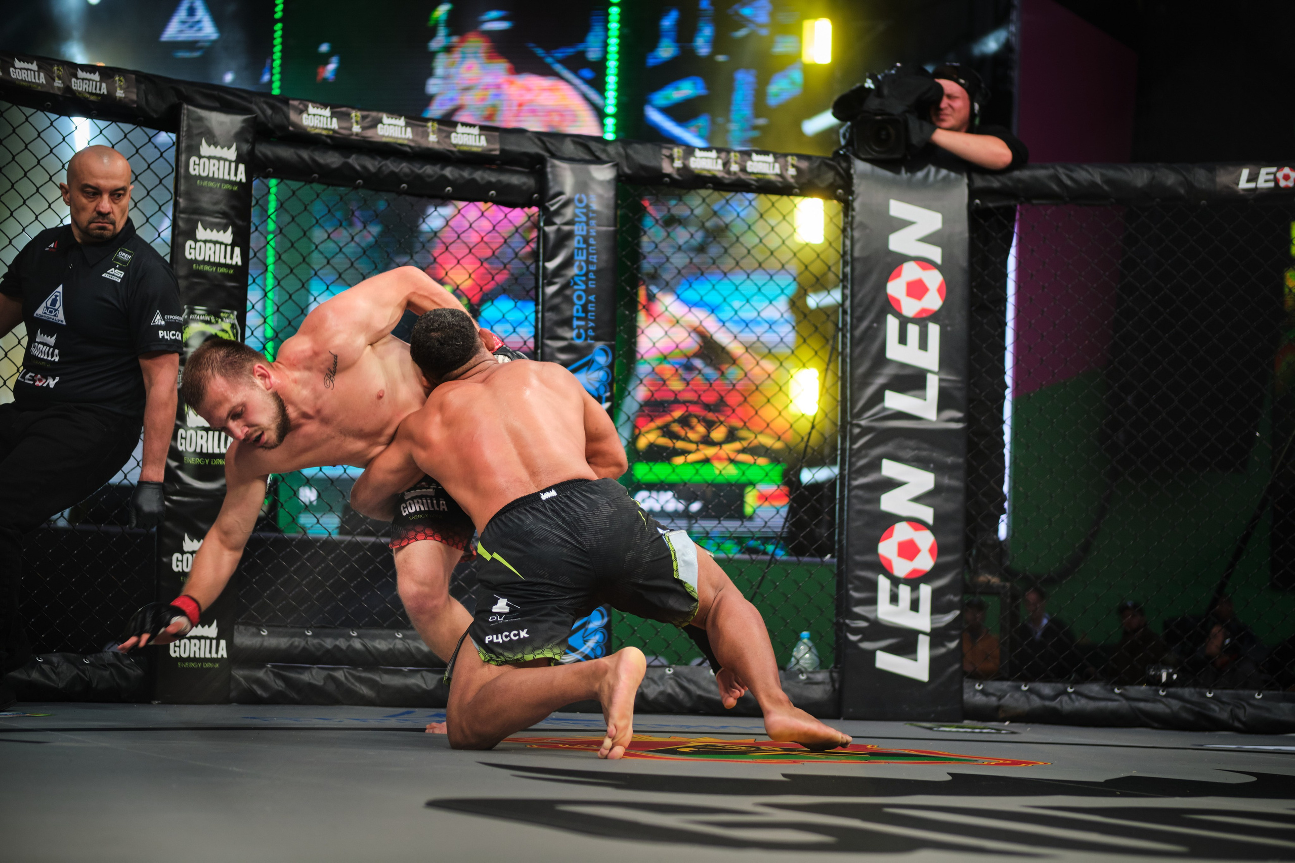 ММА на ПРО ГЕШ. Свадебный и семейный фотограф в Новокузнецке Иван Иванов