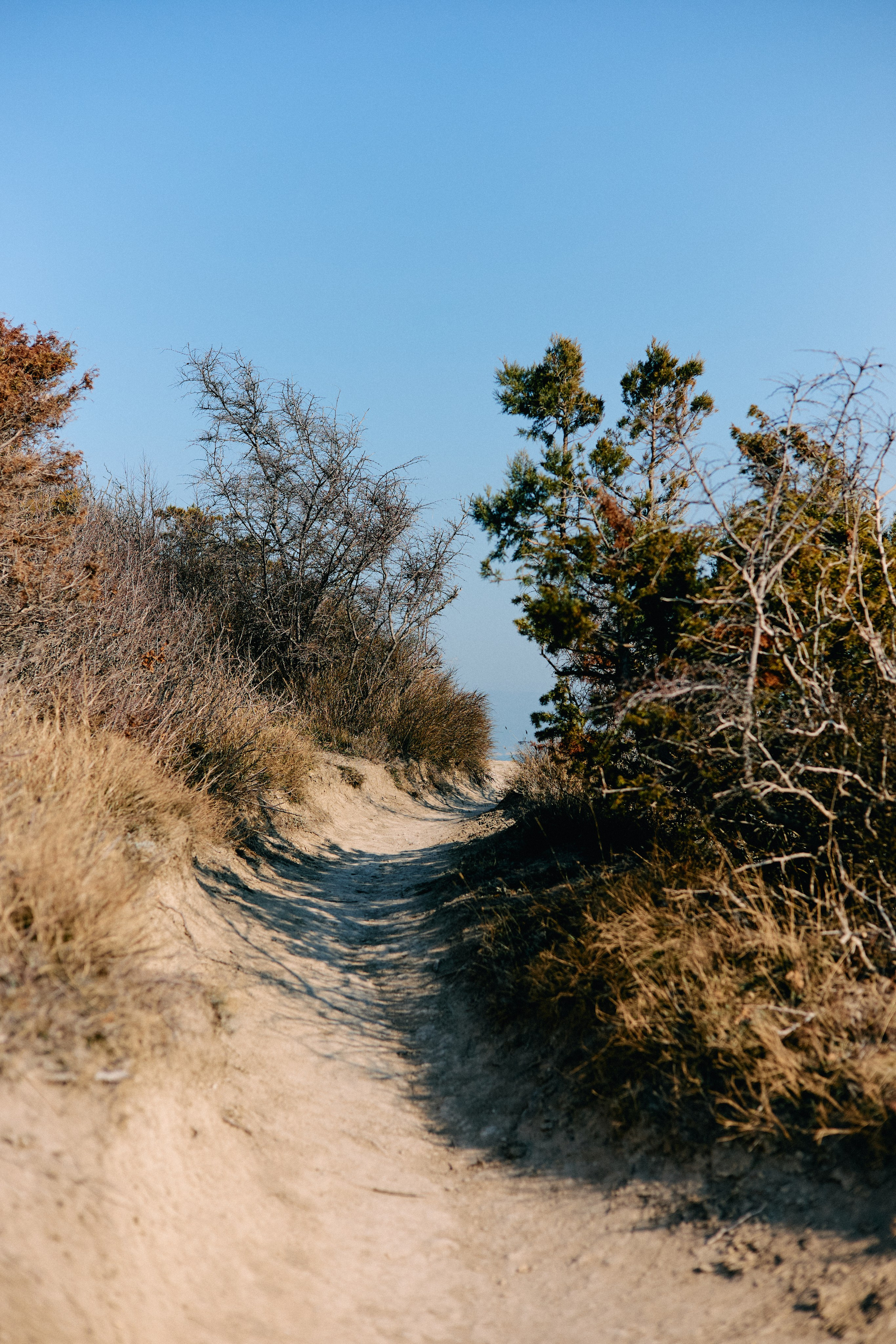 Юг России. Профессиональный Фотограф во Владимире, в Москве и в Суздале — Полина Романычева