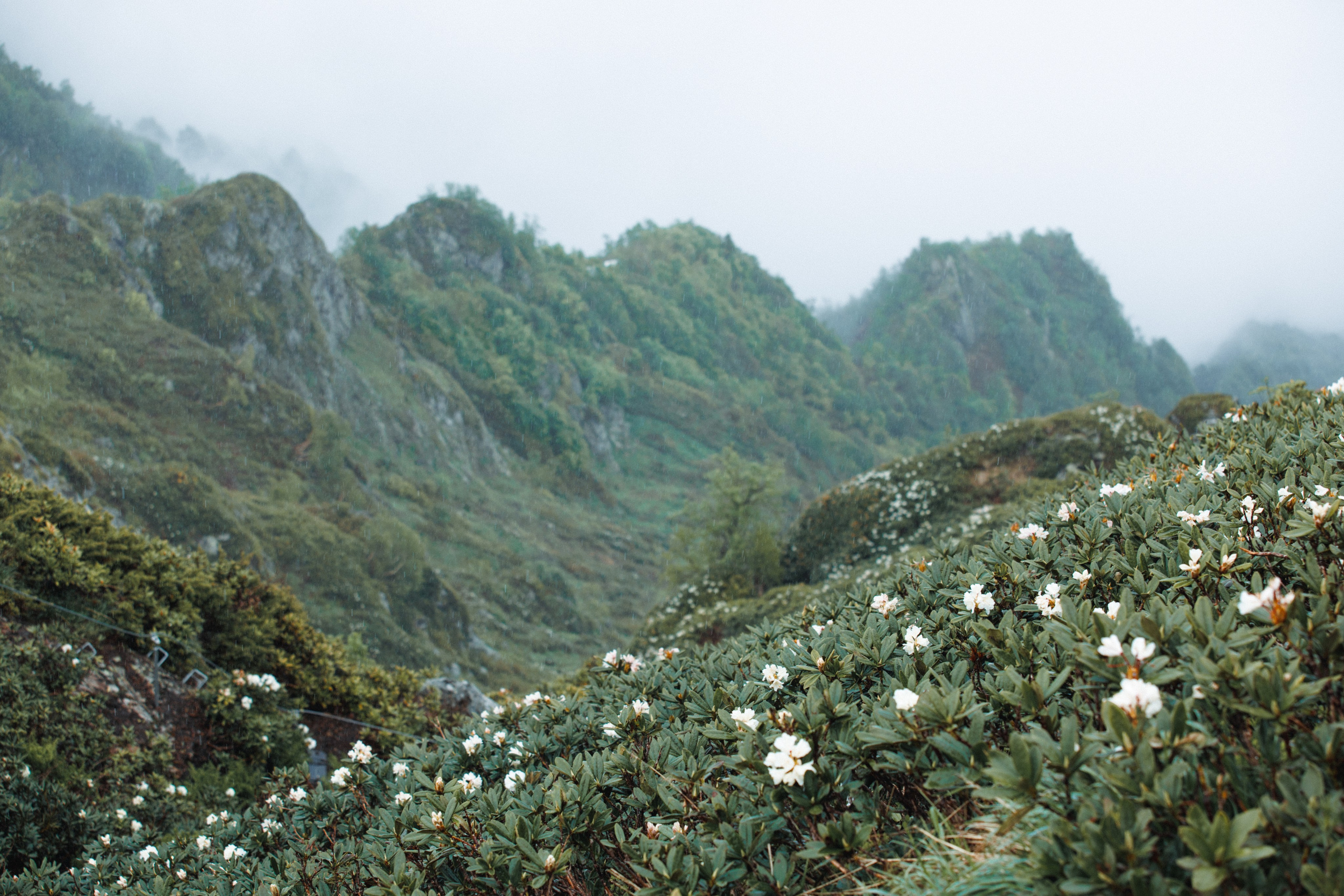 Nature. Артем Корнев Фотограф