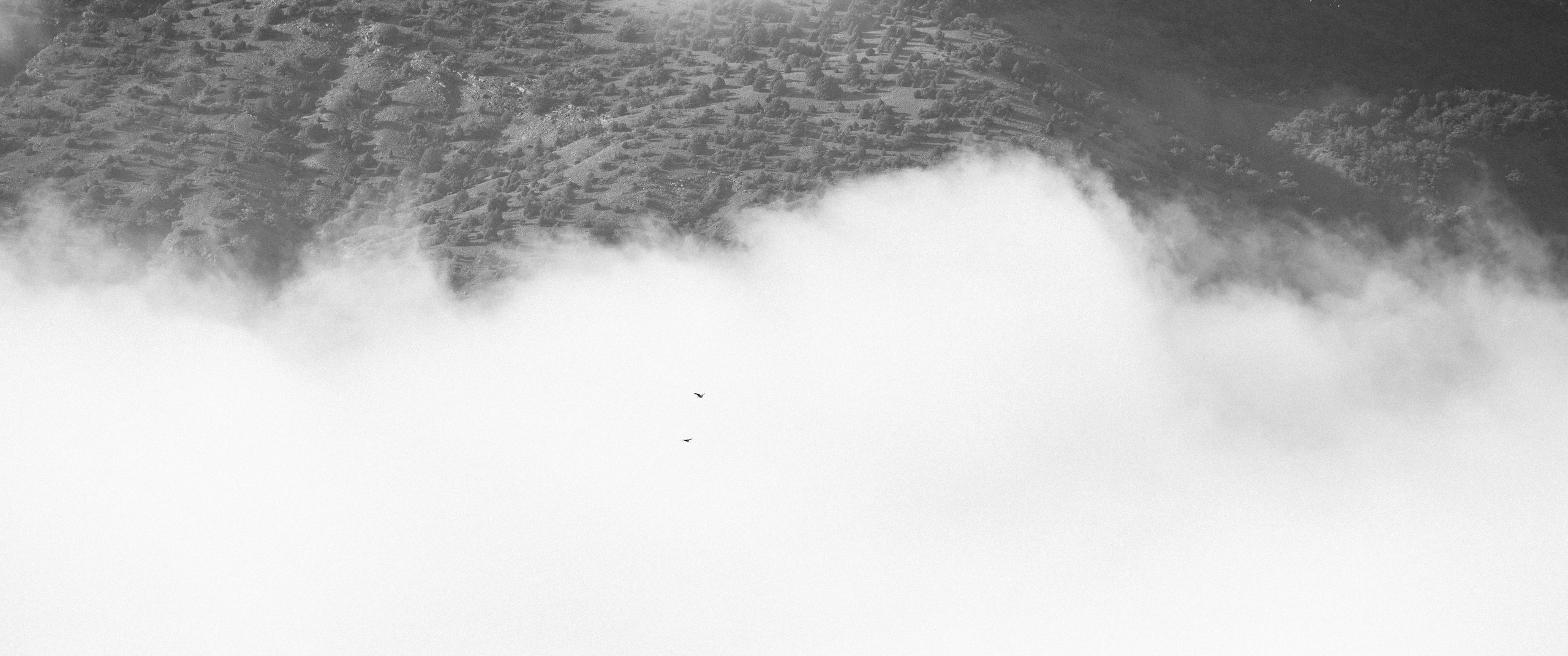 Nature. Артем Корнев Фотограф