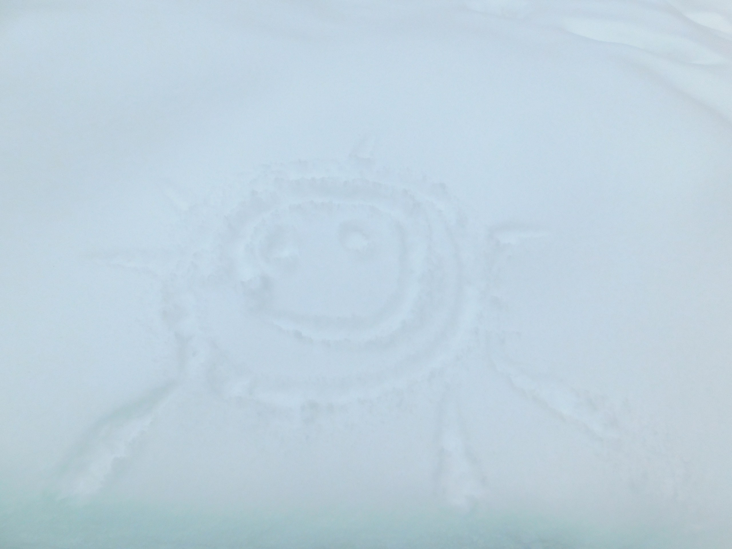 Зимний картинг | 30.01.2021. Галерея Фантим